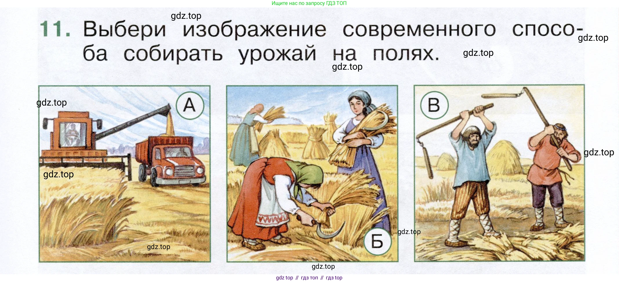 ГДЗ Окружающий мир, 1 класс Тесты, авторы: Плешаков Андрей Анатольевич, Новицкая Марина Юрьевна, Назарова З Д, издательство Просвещение, Москва, 2019, белого цвета, страница 43, номер 11, Условие