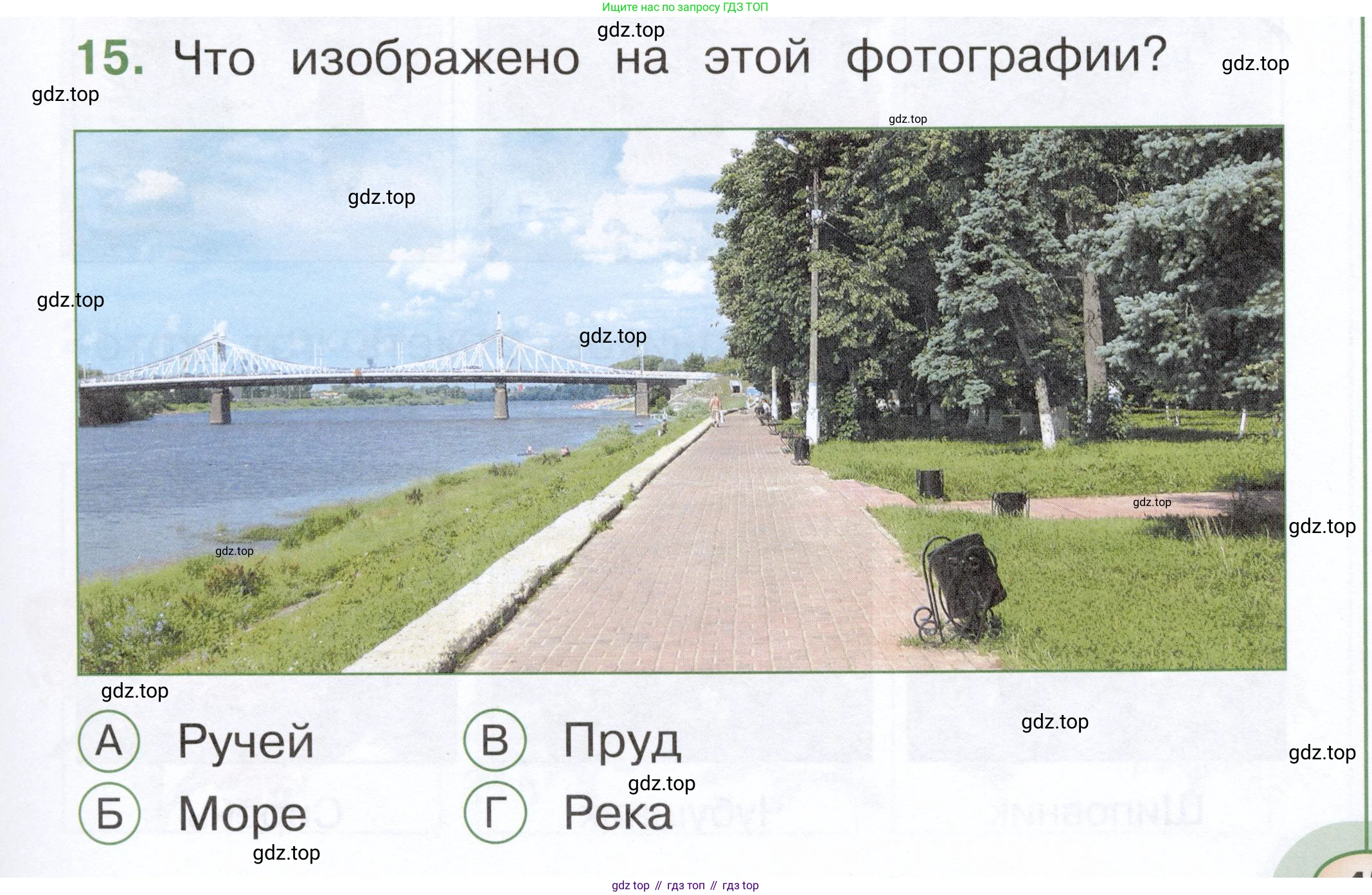 ГДЗ Окружающий мир, 1 класс Тесты, авторы: Плешаков Андрей Анатольевич, Новицкая Марина Юрьевна, Назарова З Д, издательство Просвещение, Москва, 2019, белого цвета, страница 45, номер 15, Условие