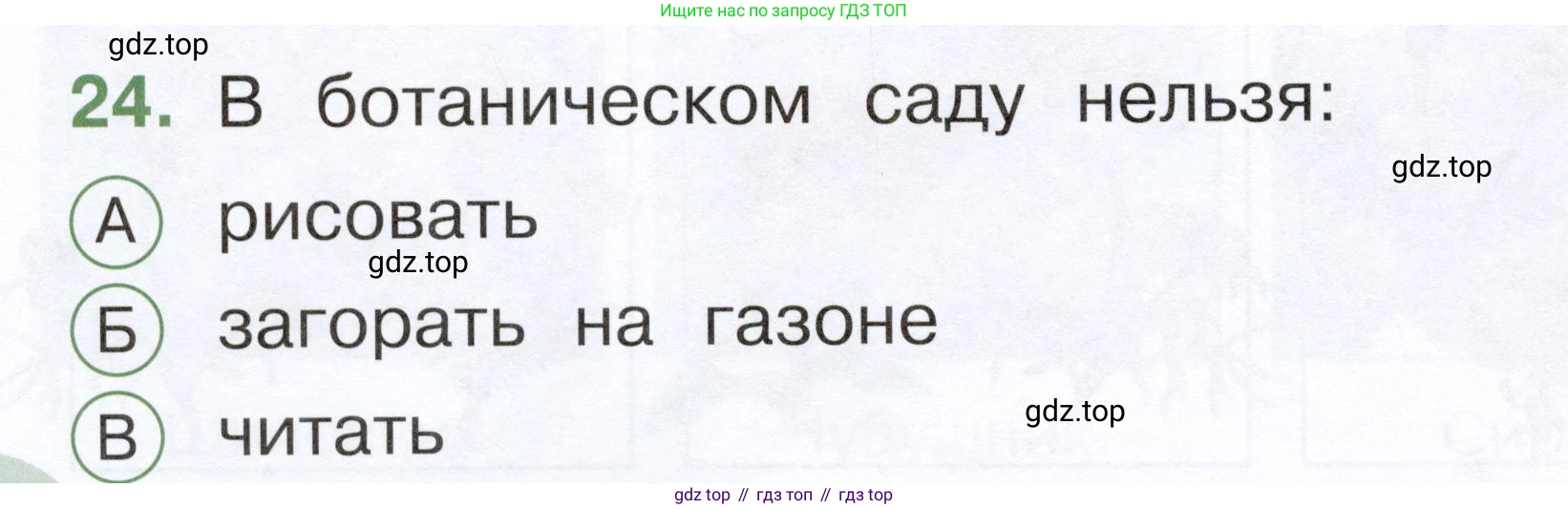 ГДЗ Окружающий мир, 1 класс Тесты, авторы: Плешаков Андрей Анатольевич, Новицкая Марина Юрьевна, Назарова З Д, издательство Просвещение, Москва, 2019, белого цвета, страница 48, номер 24, Условие
