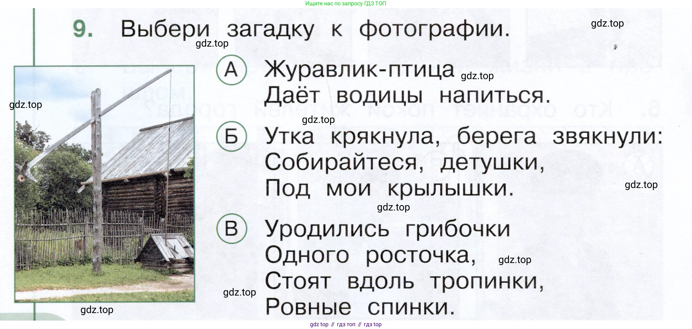 ГДЗ Окружающий мир, 1 класс Тесты, авторы: Плешаков Андрей Анатольевич, Новицкая Марина Юрьевна, Назарова З Д, издательство Просвещение, Москва, 2019, белого цвета, страница 42, номер 9, Условие