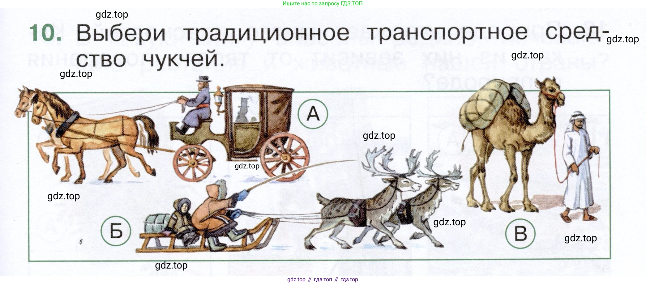 ГДЗ Окружающий мир, 1 класс Тесты, авторы: Плешаков Андрей Анатольевич, Новицкая Марина Юрьевна, Назарова З Д, издательство Просвещение, Москва, 2019, белого цвета, страница 59, номер 10, Условие