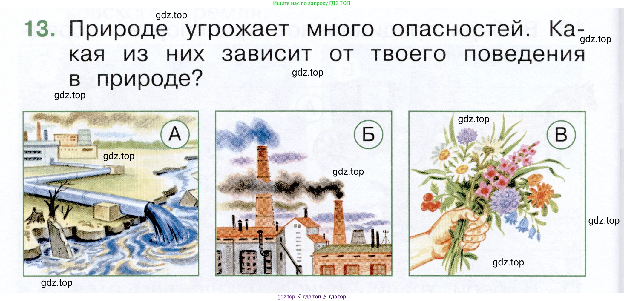 ГДЗ Окружающий мир, 1 класс Тесты, авторы: Плешаков Андрей Анатольевич, Новицкая Марина Юрьевна, Назарова З Д, издательство Просвещение, Москва, 2019, белого цвета, страница 60, номер 13, Условие