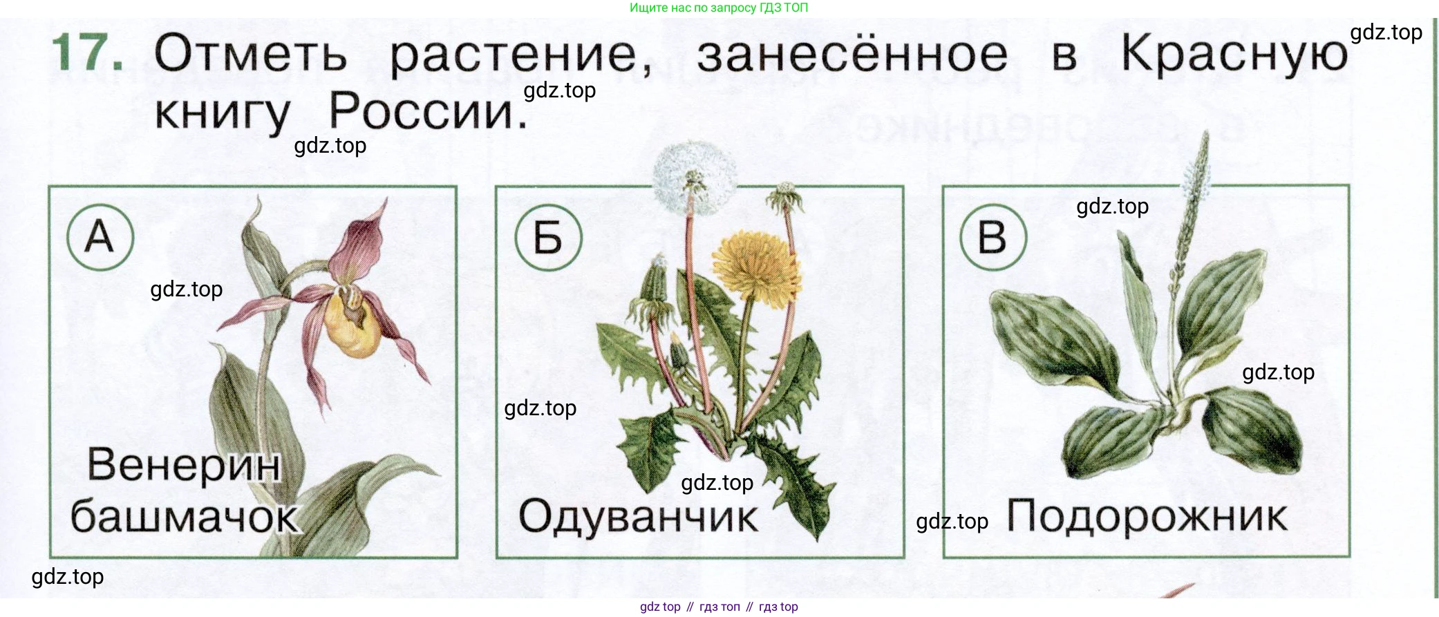 ГДЗ Окружающий мир, 1 класс Тесты, авторы: Плешаков Андрей Анатольевич, Новицкая Марина Юрьевна, Назарова З Д, издательство Просвещение, Москва, 2019, белого цвета, страница 61, номер 17, Условие