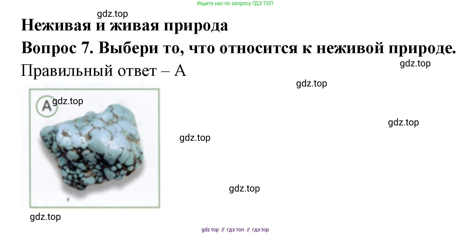 ГДЗ Окружающий мир, 1 класс Тесты, авторы: Плешаков Андрей Анатольевич, Новицкая Марина Юрьевна, Назарова З Д, издательство Просвещение, Москва, 2019, белого цвета, страница 5, номер 7, Решение