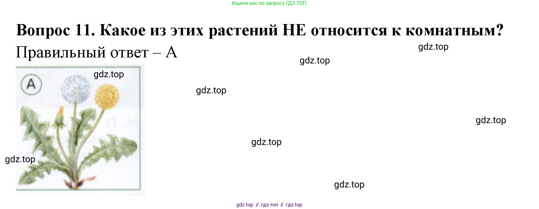 ГДЗ Окружающий мир, 1 класс Тесты, авторы: Плешаков Андрей Анатольевич, Новицкая Марина Юрьевна, Назарова З Д, издательство Просвещение, Москва, 2019, белого цвета, страница 16, номер 11, Решение