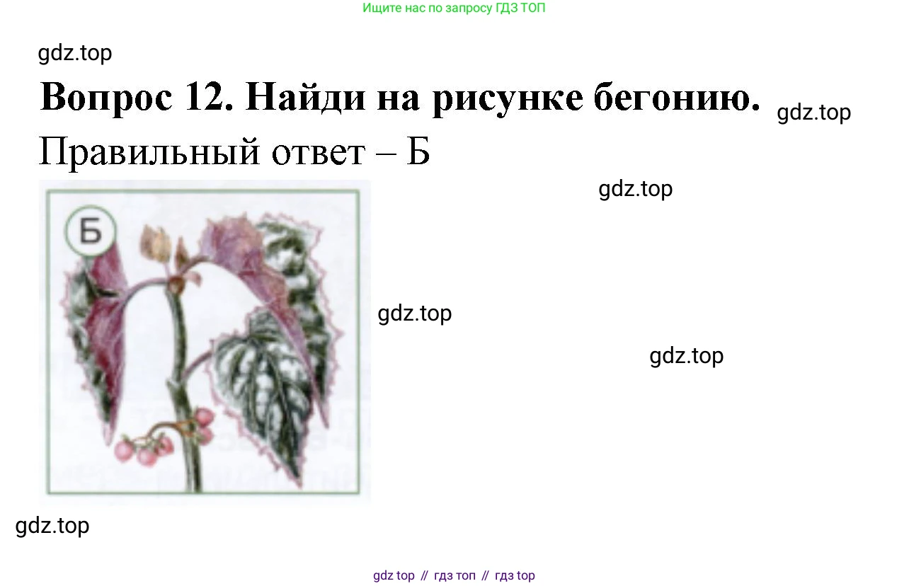 ГДЗ Окружающий мир, 1 класс Тесты, авторы: Плешаков Андрей Анатольевич, Новицкая Марина Юрьевна, Назарова З Д, издательство Просвещение, Москва, 2019, белого цвета, страница 16, номер 12, Решение