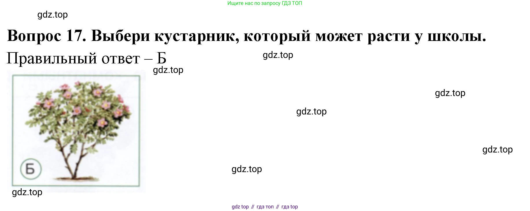 ГДЗ Окружающий мир, 1 класс Тесты, авторы: Плешаков Андрей Анатольевич, Новицкая Марина Юрьевна, Назарова З Д, издательство Просвещение, Москва, 2019, белого цвета, страница 18, номер 17, Решение