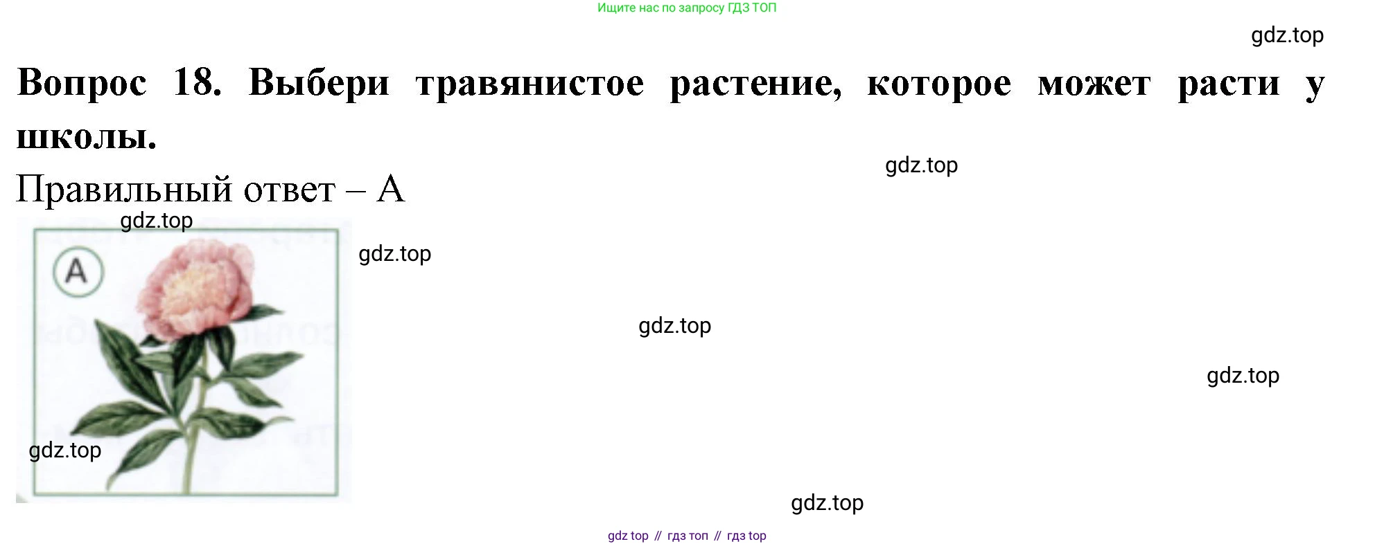 ГДЗ Окружающий мир, 1 класс Тесты, авторы: Плешаков Андрей Анатольевич, Новицкая Марина Юрьевна, Назарова З Д, издательство Просвещение, Москва, 2019, белого цвета, страница 18, номер 18, Решение