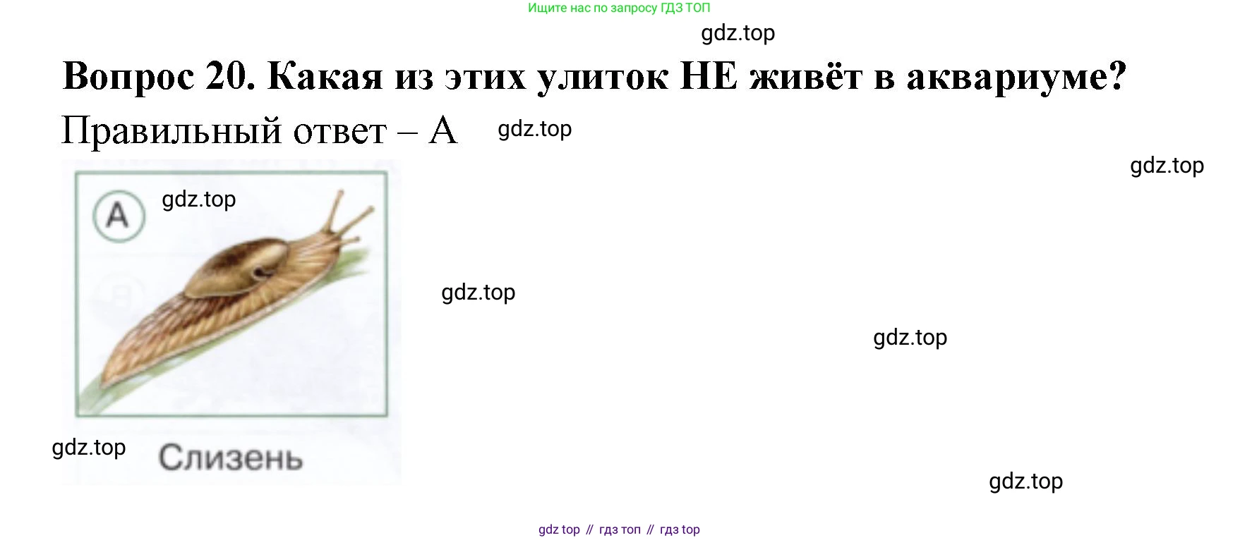 ГДЗ Окружающий мир, 1 класс Тесты, авторы: Плешаков Андрей Анатольевич, Новицкая Марина Юрьевна, Назарова З Д, издательство Просвещение, Москва, 2019, белого цвета, страница 19, номер 20, Решение