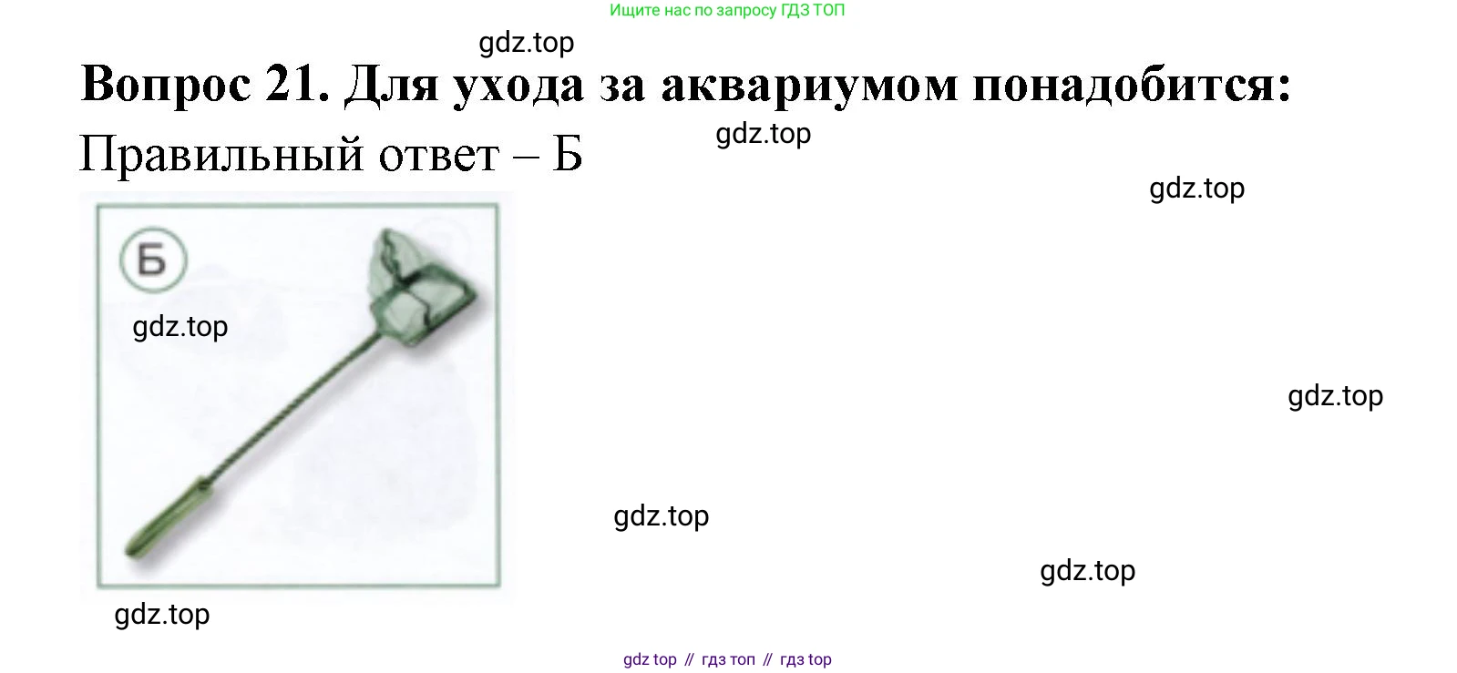 ГДЗ Окружающий мир, 1 класс Тесты, авторы: Плешаков Андрей Анатольевич, Новицкая Марина Юрьевна, Назарова З Д, издательство Просвещение, Москва, 2019, белого цвета, страница 19, номер 21, Решение