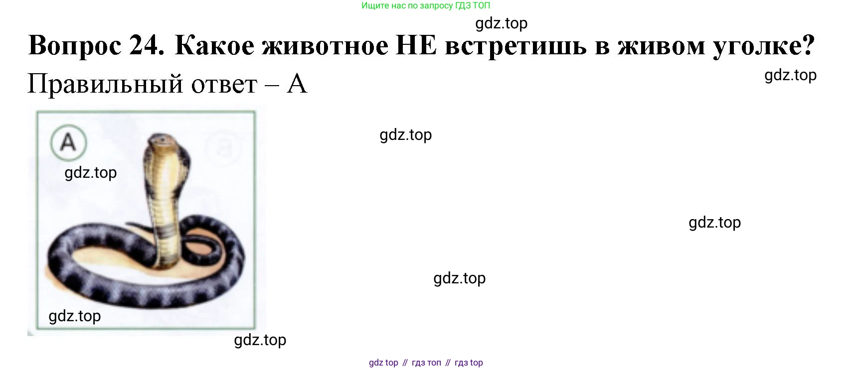 ГДЗ Окружающий мир, 1 класс Тесты, авторы: Плешаков Андрей Анатольевич, Новицкая Марина Юрьевна, Назарова З Д, издательство Просвещение, Москва, 2019, белого цвета, страница 20, номер 24, Решение