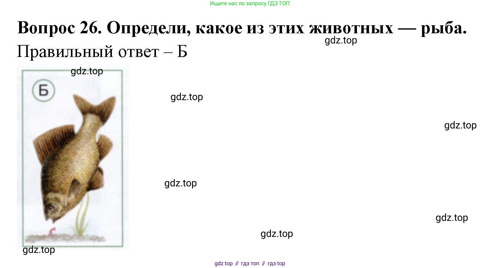 ГДЗ Окружающий мир, 1 класс Тесты, авторы: Плешаков Андрей Анатольевич, Новицкая Марина Юрьевна, Назарова З Д, издательство Просвещение, Москва, 2019, белого цвета, страница 21, номер 26, Решение