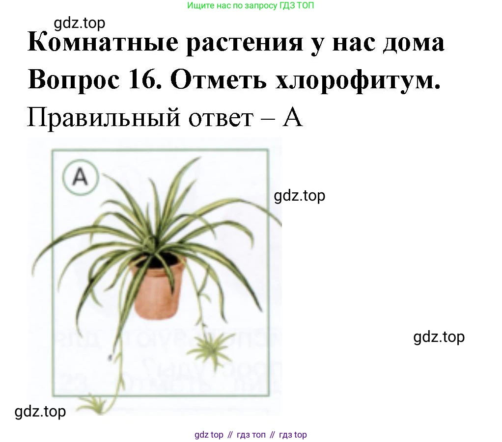 ГДЗ Окружающий мир, 1 класс Тесты, авторы: Плешаков Андрей Анатольевич, Новицкая Марина Юрьевна, Назарова З Д, издательство Просвещение, Москва, 2019, белого цвета, страница 31, номер 16, Решение