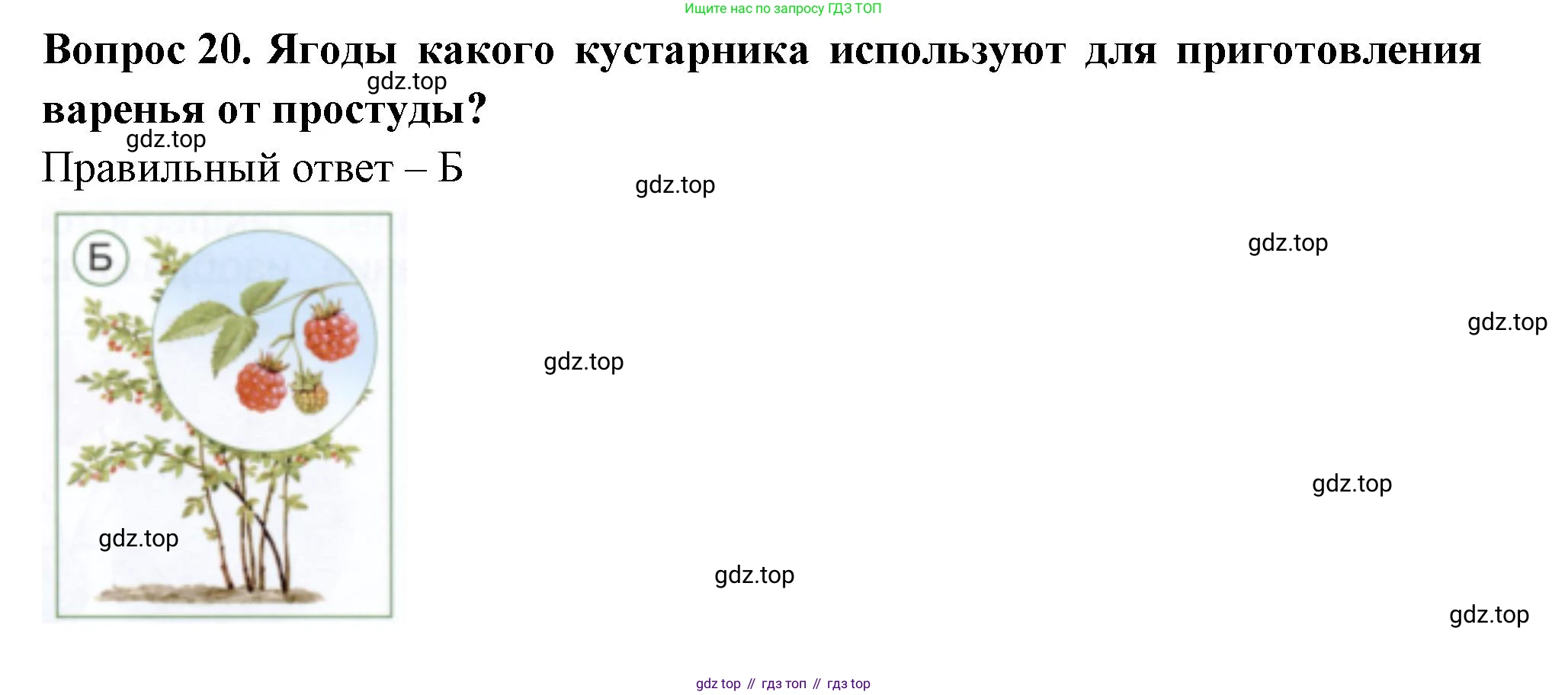 ГДЗ Окружающий мир, 1 класс Тесты, авторы: Плешаков Андрей Анатольевич, Новицкая Марина Юрьевна, Назарова З Д, издательство Просвещение, Москва, 2019, белого цвета, страница 32, номер 20, Решение