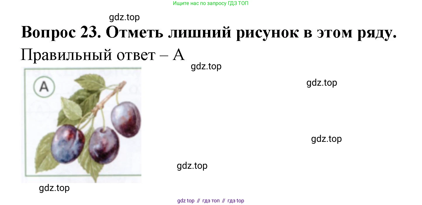 ГДЗ Окружающий мир, 1 класс Тесты, авторы: Плешаков Андрей Анатольевич, Новицкая Марина Юрьевна, Назарова З Д, издательство Просвещение, Москва, 2019, белого цвета, страница 33, номер 23, Решение