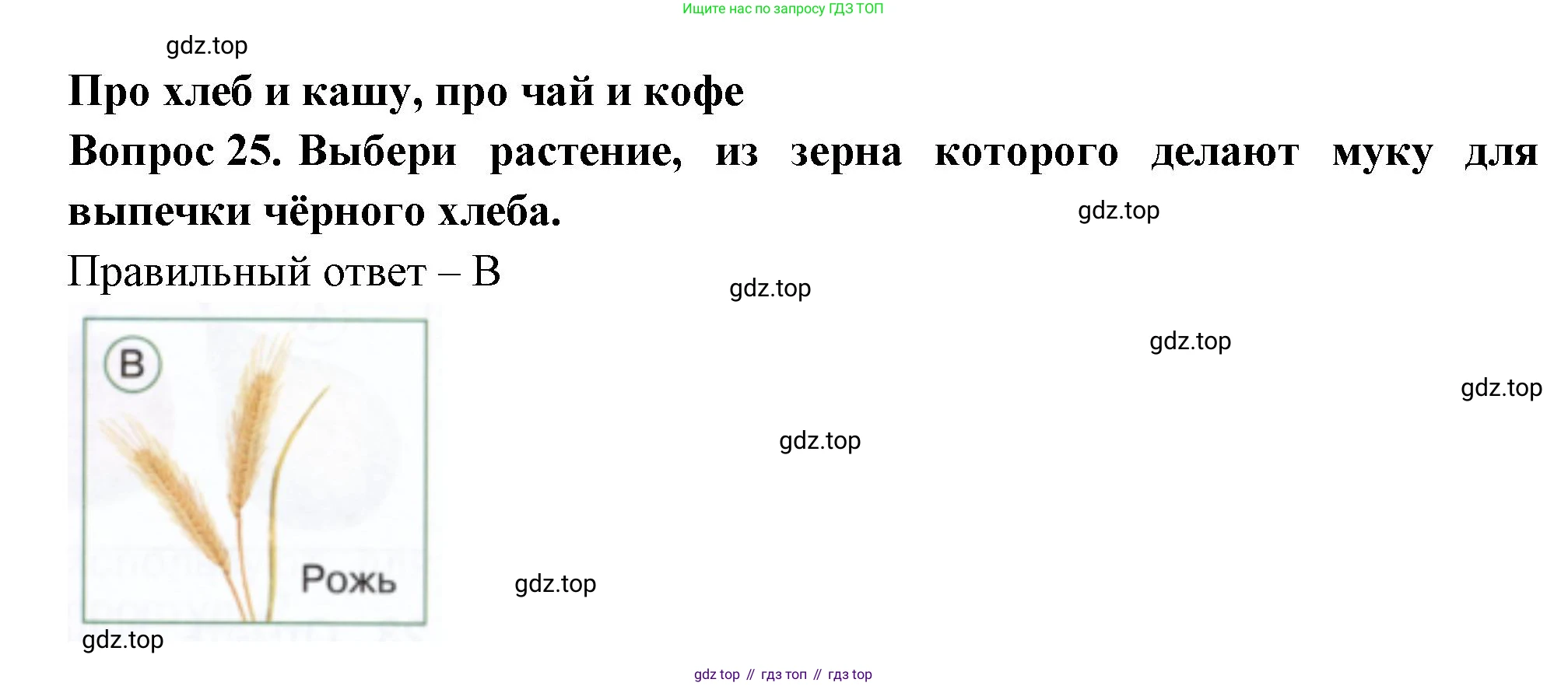 ГДЗ Окружающий мир, 1 класс Тесты, авторы: Плешаков Андрей Анатольевич, Новицкая Марина Юрьевна, Назарова З Д, издательство Просвещение, Москва, 2019, белого цвета, страница 34, номер 25, Решение
