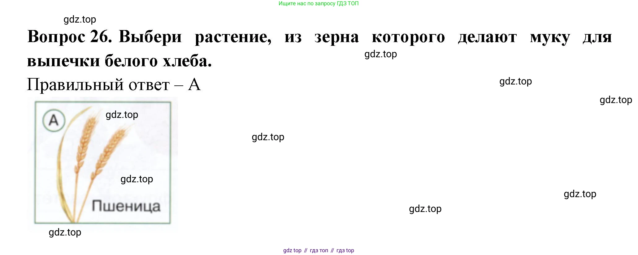 ГДЗ Окружающий мир, 1 класс Тесты, авторы: Плешаков Андрей Анатольевич, Новицкая Марина Юрьевна, Назарова З Д, издательство Просвещение, Москва, 2019, белого цвета, страница 34, номер 26, Решение