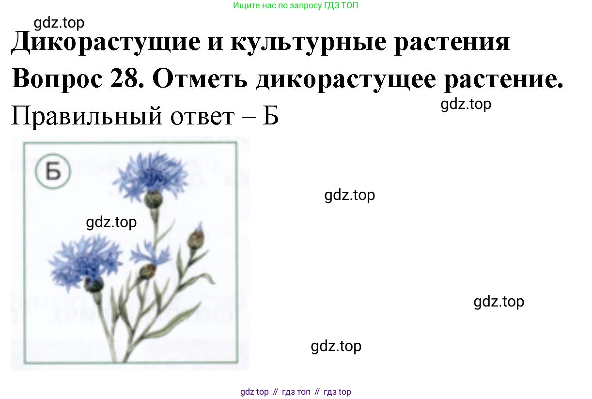 ГДЗ Окружающий мир, 1 класс Тесты, авторы: Плешаков Андрей Анатольевич, Новицкая Марина Юрьевна, Назарова З Д, издательство Просвещение, Москва, 2019, белого цвета, страница 35, номер 28, Решение