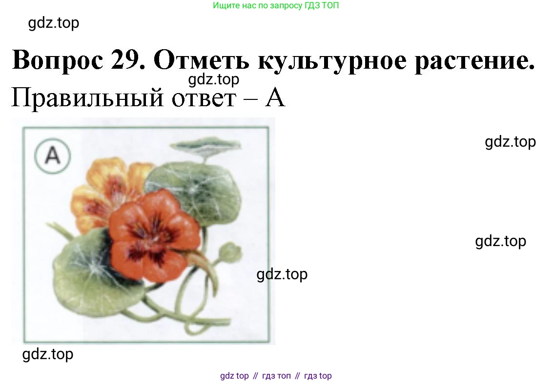 ГДЗ Окружающий мир, 1 класс Тесты, авторы: Плешаков Андрей Анатольевич, Новицкая Марина Юрьевна, Назарова З Д, издательство Просвещение, Москва, 2019, белого цвета, страница 35, номер 29, Решение
