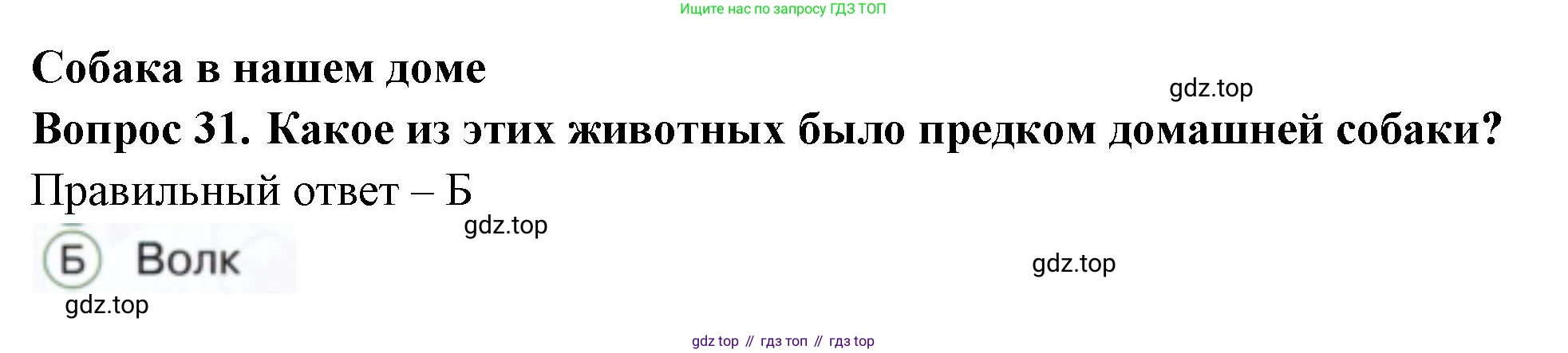 ГДЗ Окружающий мир, 1 класс Тесты, авторы: Плешаков Андрей Анатольевич, Новицкая Марина Юрьевна, Назарова З Д, издательство Просвещение, Москва, 2019, белого цвета, страница 36, номер 31, Решение
