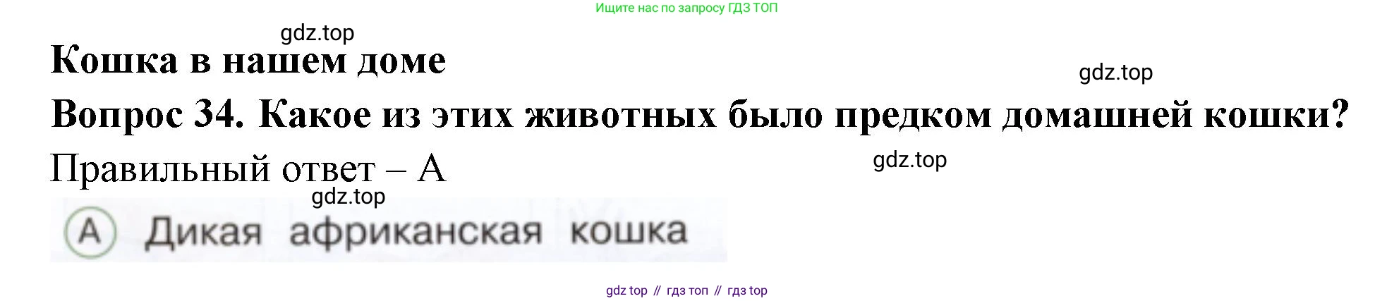 ГДЗ Окружающий мир, 1 класс Тесты, авторы: Плешаков Андрей Анатольевич, Новицкая Марина Юрьевна, Назарова З Д, издательство Просвещение, Москва, 2019, белого цвета, страница 37, номер 34, Решение