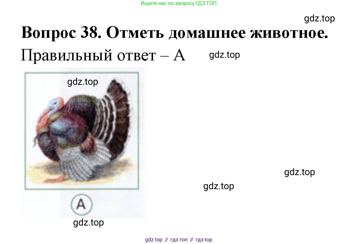 ГДЗ Окружающий мир, 1 класс Тесты, авторы: Плешаков Андрей Анатольевич, Новицкая Марина Юрьевна, Назарова З Д, издательство Просвещение, Москва, 2019, белого цвета, страница 38, номер 38, Решение