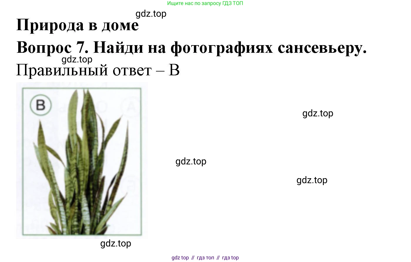 ГДЗ Окружающий мир, 1 класс Тесты, авторы: Плешаков Андрей Анатольевич, Новицкая Марина Юрьевна, Назарова З Д, издательство Просвещение, Москва, 2019, белого цвета, страница 28, номер 7, Решение