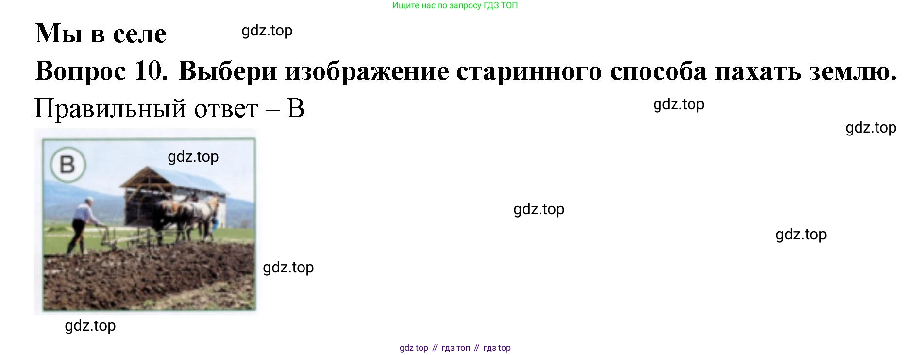 ГДЗ Окружающий мир, 1 класс Тесты, авторы: Плешаков Андрей Анатольевич, Новицкая Марина Юрьевна, Назарова З Д, издательство Просвещение, Москва, 2019, белого цвета, страница 43, номер 10, Решение