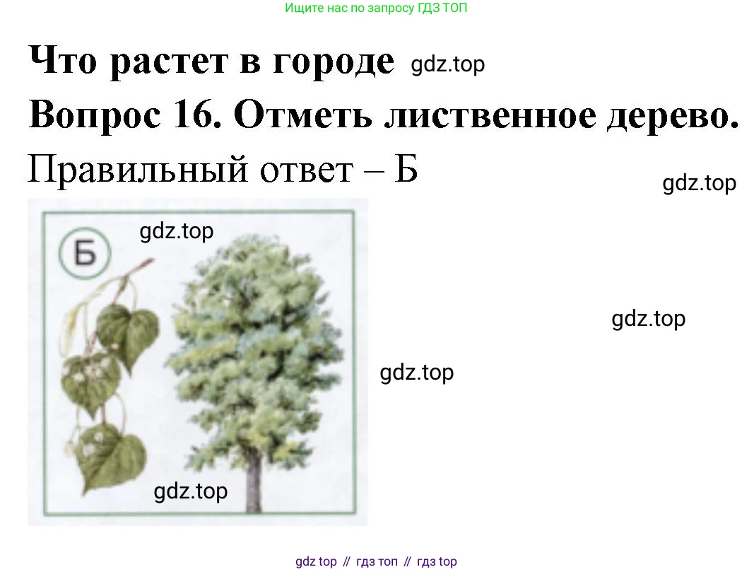 ГДЗ Окружающий мир, 1 класс Тесты, авторы: Плешаков Андрей Анатольевич, Новицкая Марина Юрьевна, Назарова З Д, издательство Просвещение, Москва, 2019, белого цвета, страница 46, номер 16, Решение