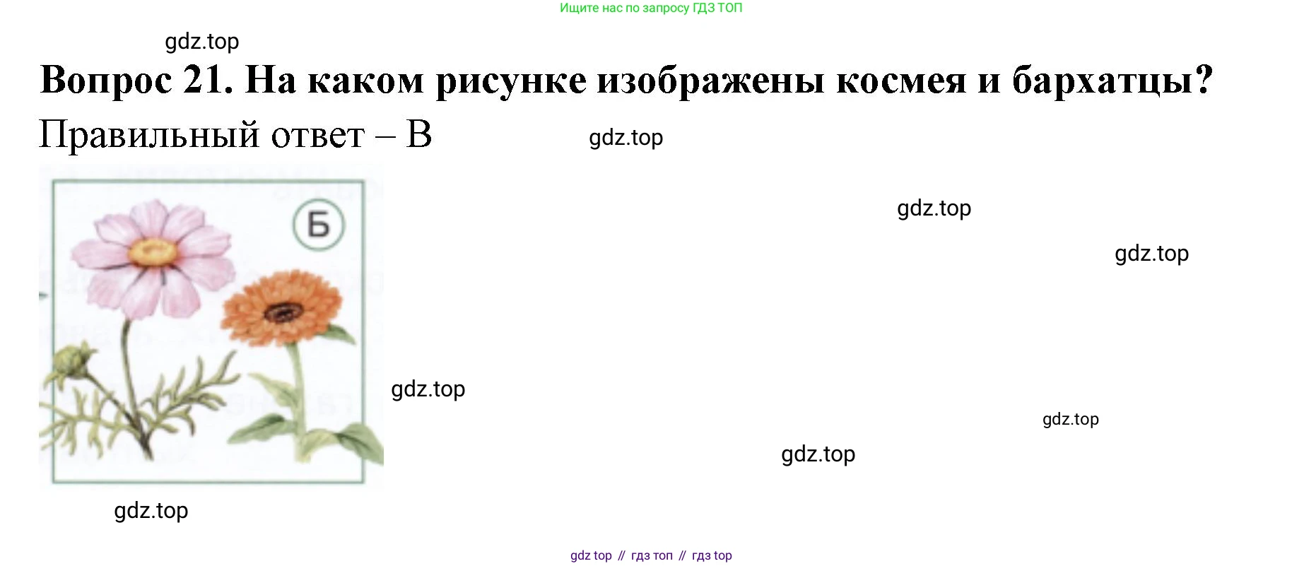 ГДЗ Окружающий мир, 1 класс Тесты, авторы: Плешаков Андрей Анатольевич, Новицкая Марина Юрьевна, Назарова З Д, издательство Просвещение, Москва, 2019, белого цвета, страница 47, номер 21, Решение