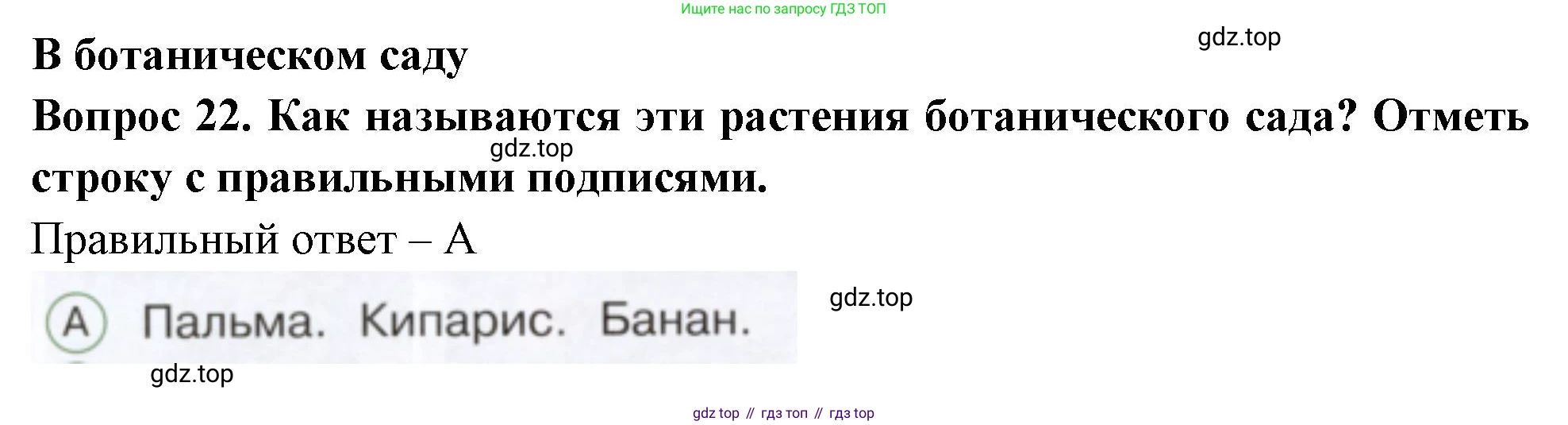 ГДЗ Окружающий мир, 1 класс Тесты, авторы: Плешаков Андрей Анатольевич, Новицкая Марина Юрьевна, Назарова З Д, издательство Просвещение, Москва, 2019, белого цвета, страница 48, номер 22, Решение