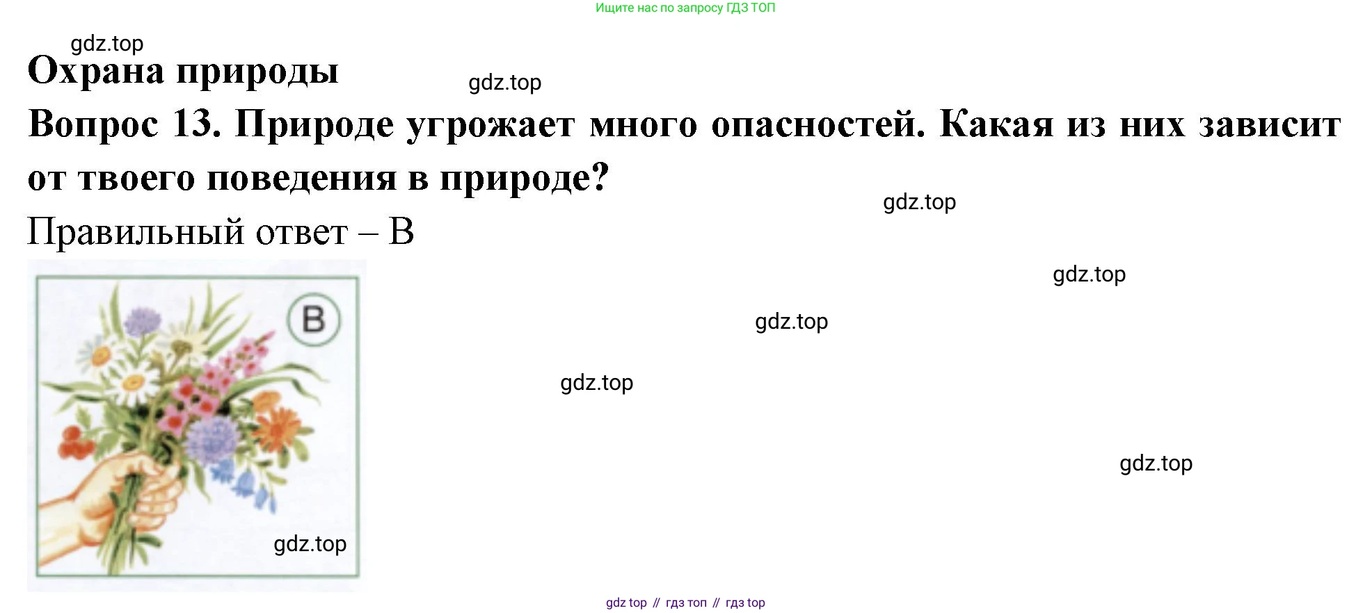 ГДЗ Окружающий мир, 1 класс Тесты, авторы: Плешаков Андрей Анатольевич, Новицкая Марина Юрьевна, Назарова З Д, издательство Просвещение, Москва, 2019, белого цвета, страница 60, номер 13, Решение