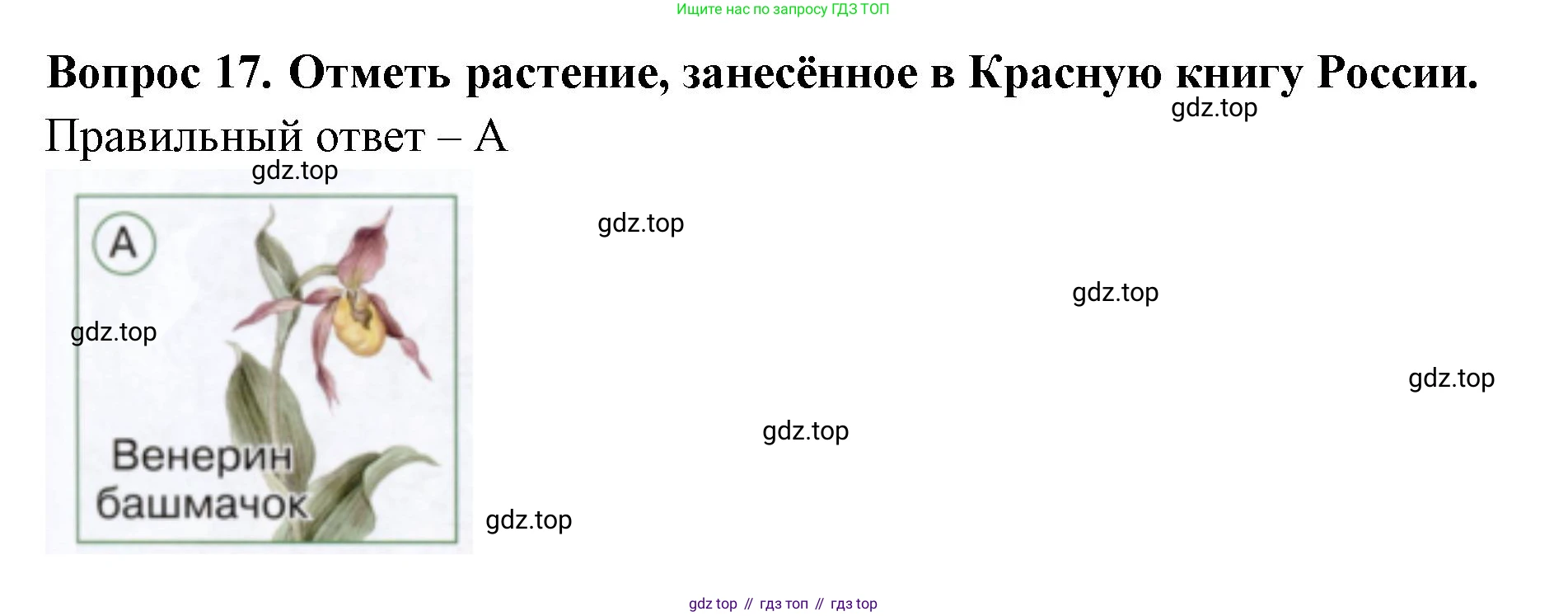 ГДЗ Окружающий мир, 1 класс Тесты, авторы: Плешаков Андрей Анатольевич, Новицкая Марина Юрьевна, Назарова З Д, издательство Просвещение, Москва, 2019, белого цвета, страница 61, номер 17, Решение
