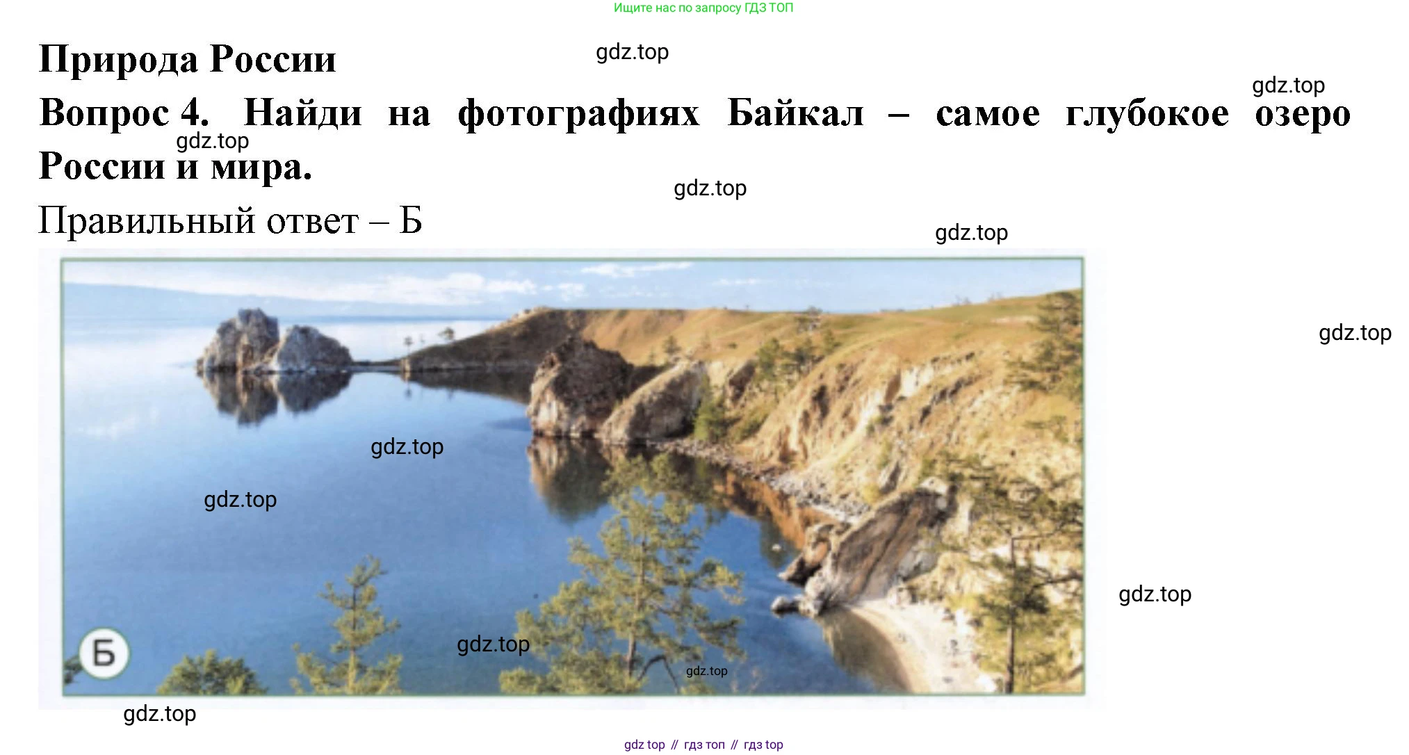 ГДЗ Окружающий мир, 1 класс Тесты, авторы: Плешаков Андрей Анатольевич, Новицкая Марина Юрьевна, Назарова З Д, издательство Просвещение, Москва, 2019, белого цвета, страница 55, номер 4, Решение