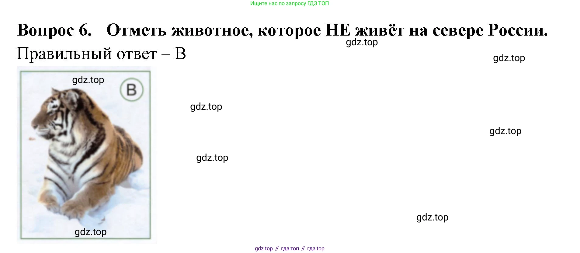 ГДЗ Окружающий мир, 1 класс Тесты, авторы: Плешаков Андрей Анатольевич, Новицкая Марина Юрьевна, Назарова З Д, издательство Просвещение, Москва, 2019, белого цвета, страница 56, номер 6, Решение