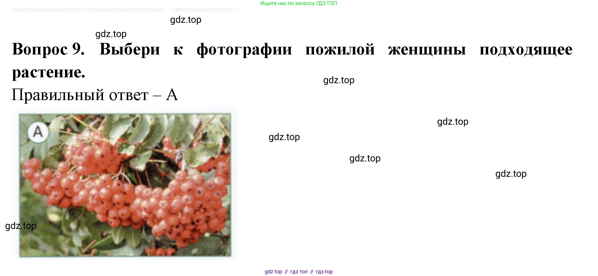 ГДЗ Окружающий мир, 1 класс Тесты, авторы: Плешаков Андрей Анатольевич, Новицкая Марина Юрьевна, Назарова З Д, издательство Просвещение, Москва, 2019, белого цвета, страница 70, номер 9, Решение