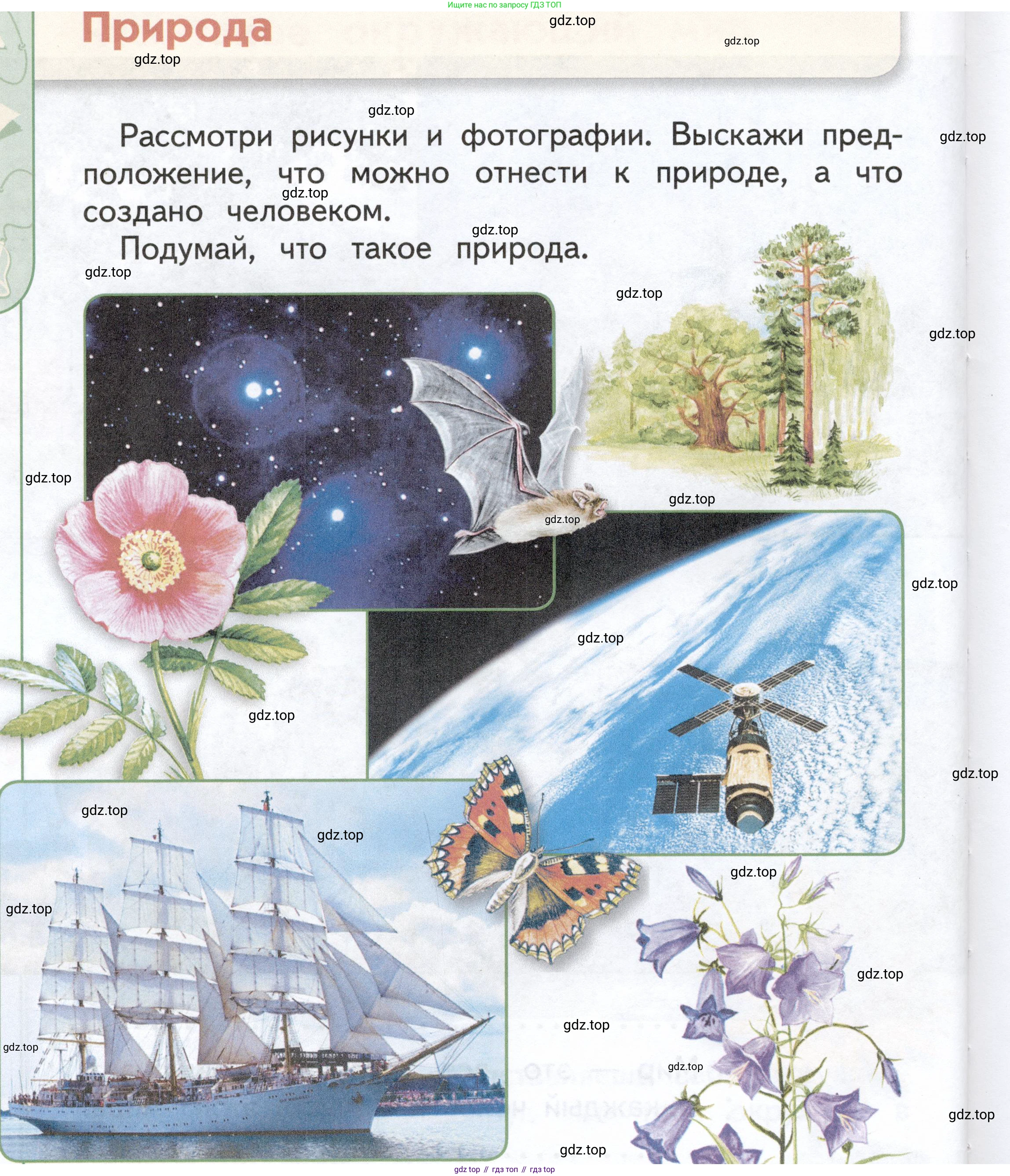 ГДЗ Окружающий мир, 1 класс Учебник, авторы: Плешаков Андрей Анатольевич, Новицкая Марина Юрьевна, издательство Просвещение, Москва, 2023, белого цвета, Часть 1, страница 10, Условие