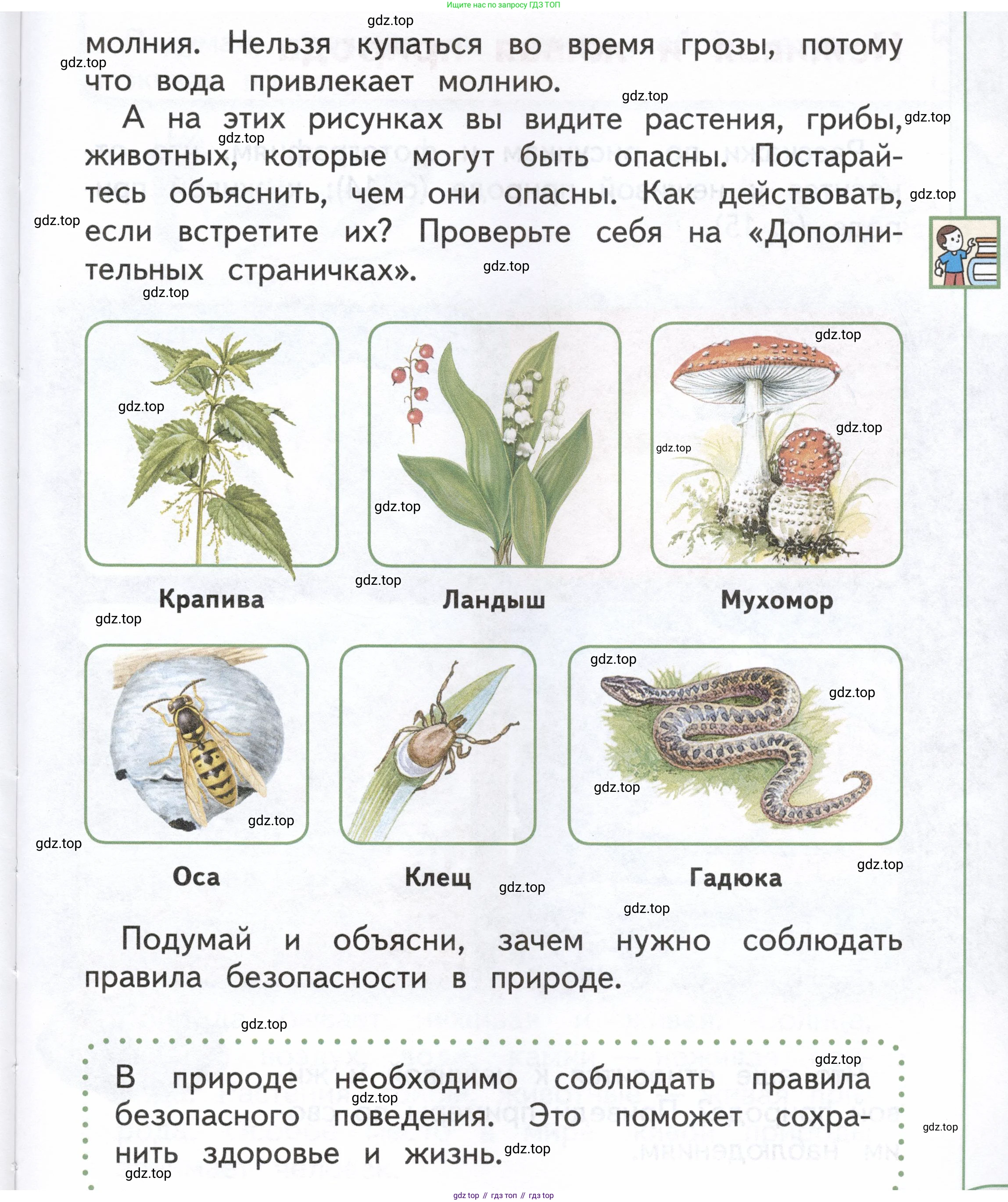 ГДЗ Окружающий мир, 1 класс Учебник, авторы: Плешаков Андрей Анатольевич, Новицкая Марина Юрьевна, издательство Просвещение, Москва, 2023, белого цвета, Часть 1, страница 13, Условие