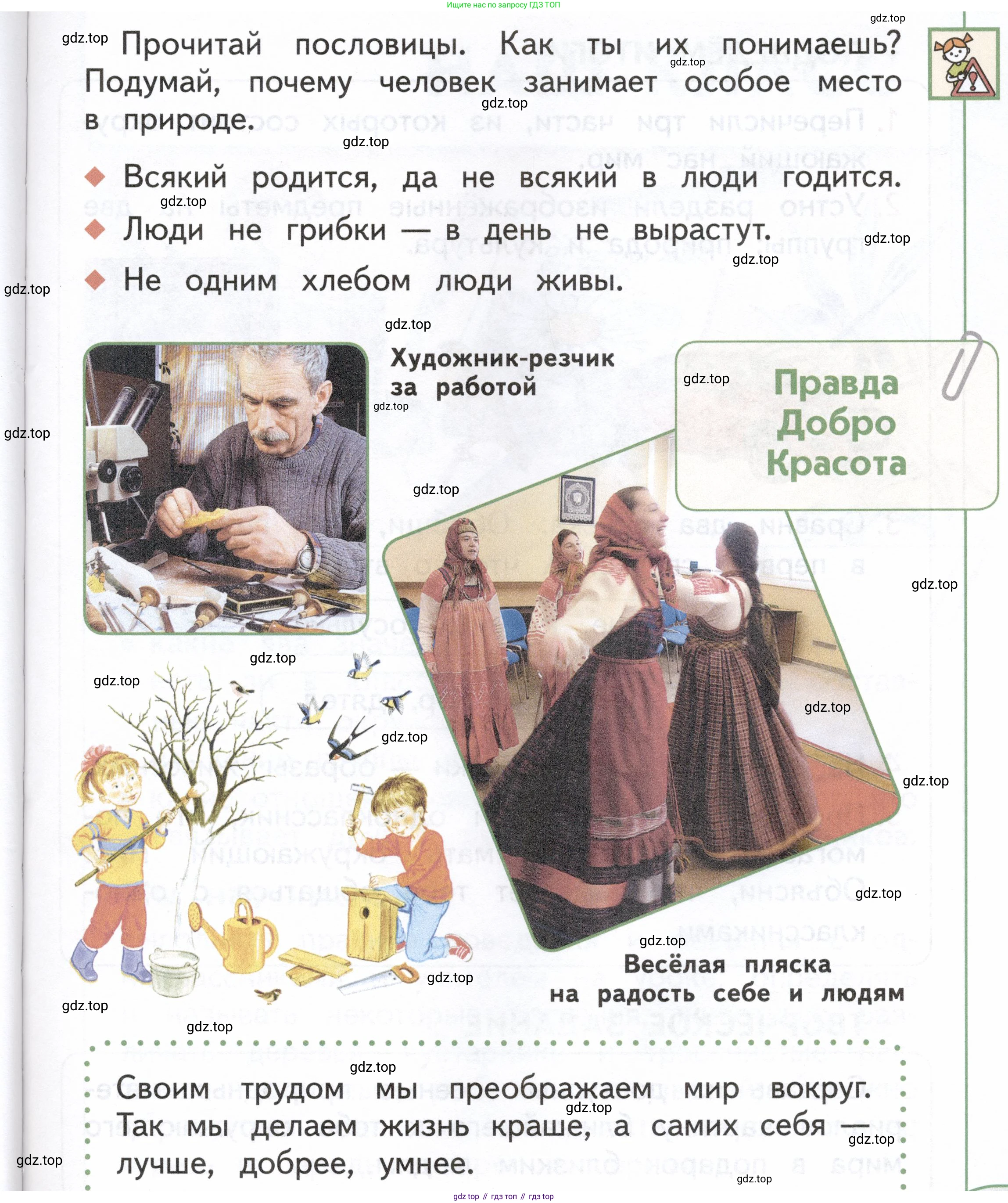 ГДЗ Окружающий мир, 1 класс Учебник, авторы: Плешаков Андрей Анатольевич, Новицкая Марина Юрьевна, издательство Просвещение, Москва, 2023, белого цвета, Часть 1, страница 29, Условие