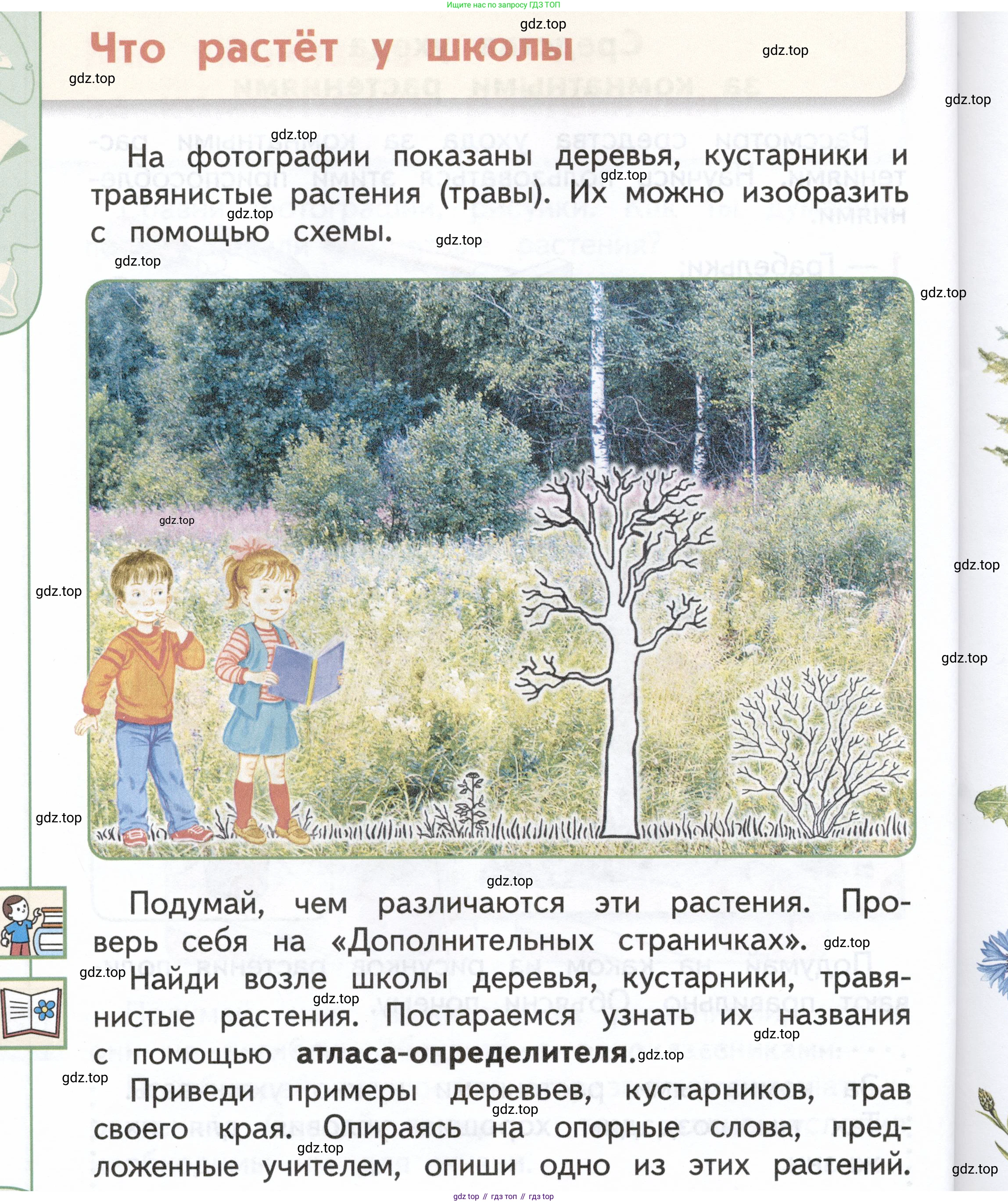 ГДЗ Окружающий мир, 1 класс Учебник, авторы: Плешаков Андрей Анатольевич, Новицкая Марина Юрьевна, издательство Просвещение, Москва, 2023, белого цвета, Часть 1, страница 42, Условие