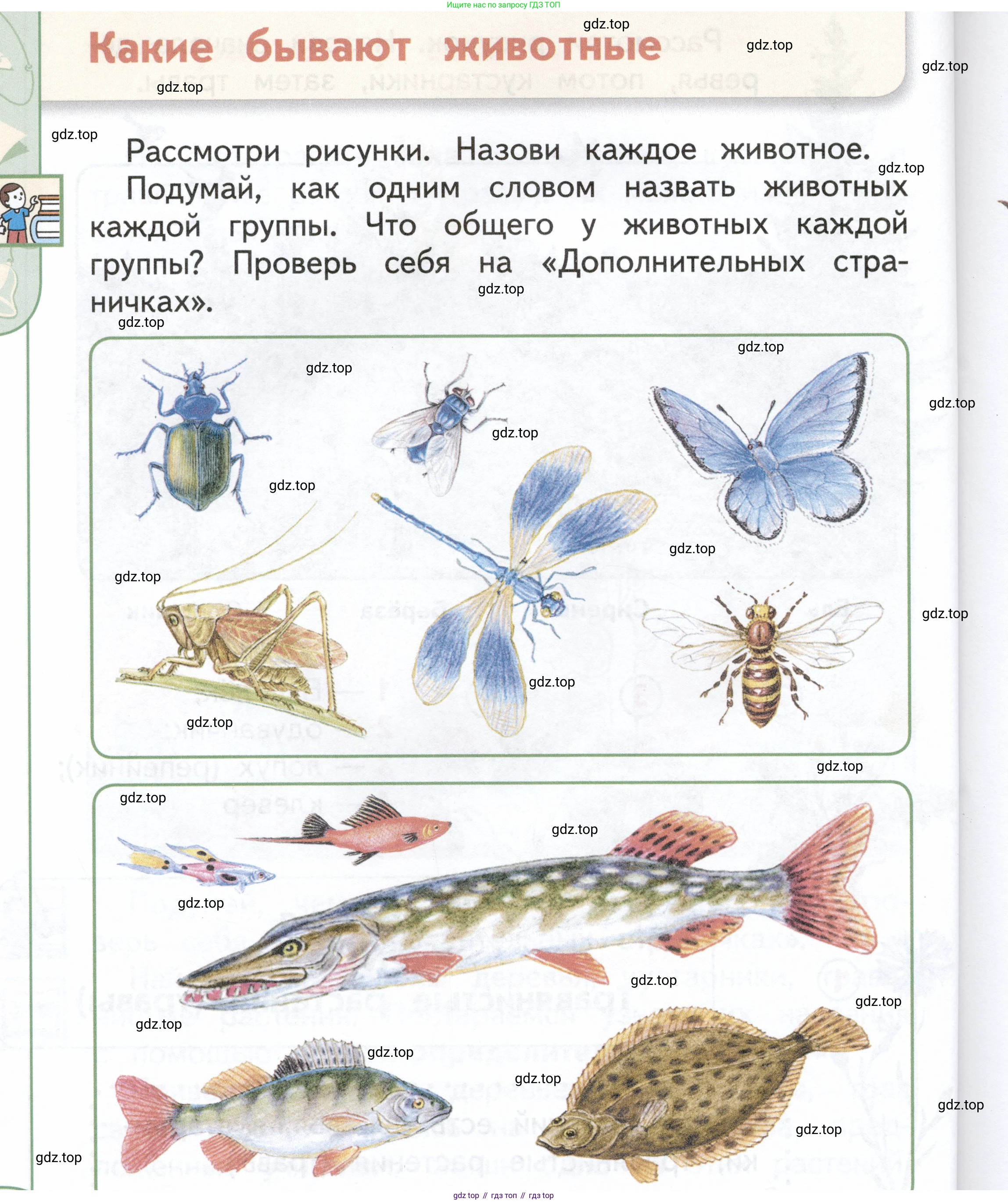 ГДЗ Окружающий мир, 1 класс Учебник, авторы: Плешаков Андрей Анатольевич, Новицкая Марина Юрьевна, издательство Просвещение, Москва, 2023, белого цвета, Часть 1, страница 44, Условие