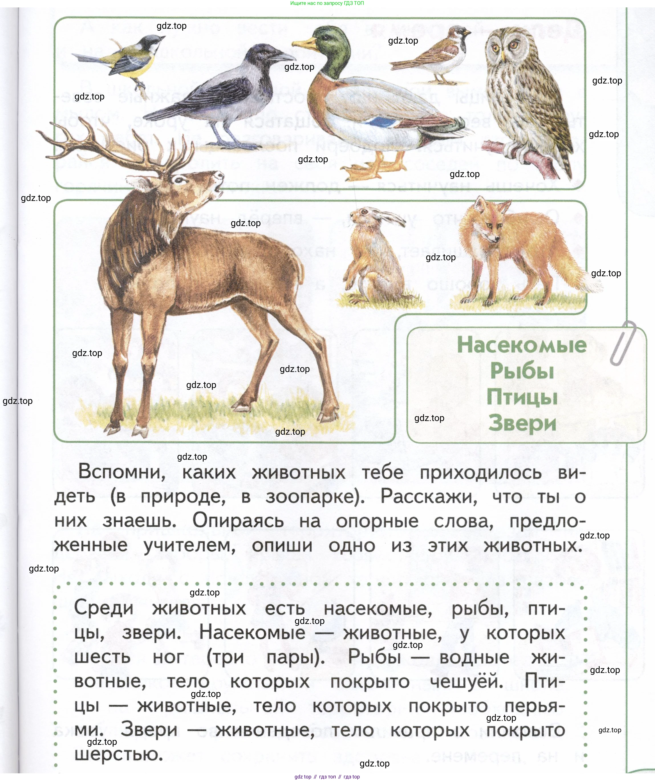ГДЗ Окружающий мир, 1 класс Учебник, авторы: Плешаков Андрей Анатольевич, Новицкая Марина Юрьевна, издательство Просвещение, Москва, 2023, белого цвета, Часть 1, страница 45, Условие