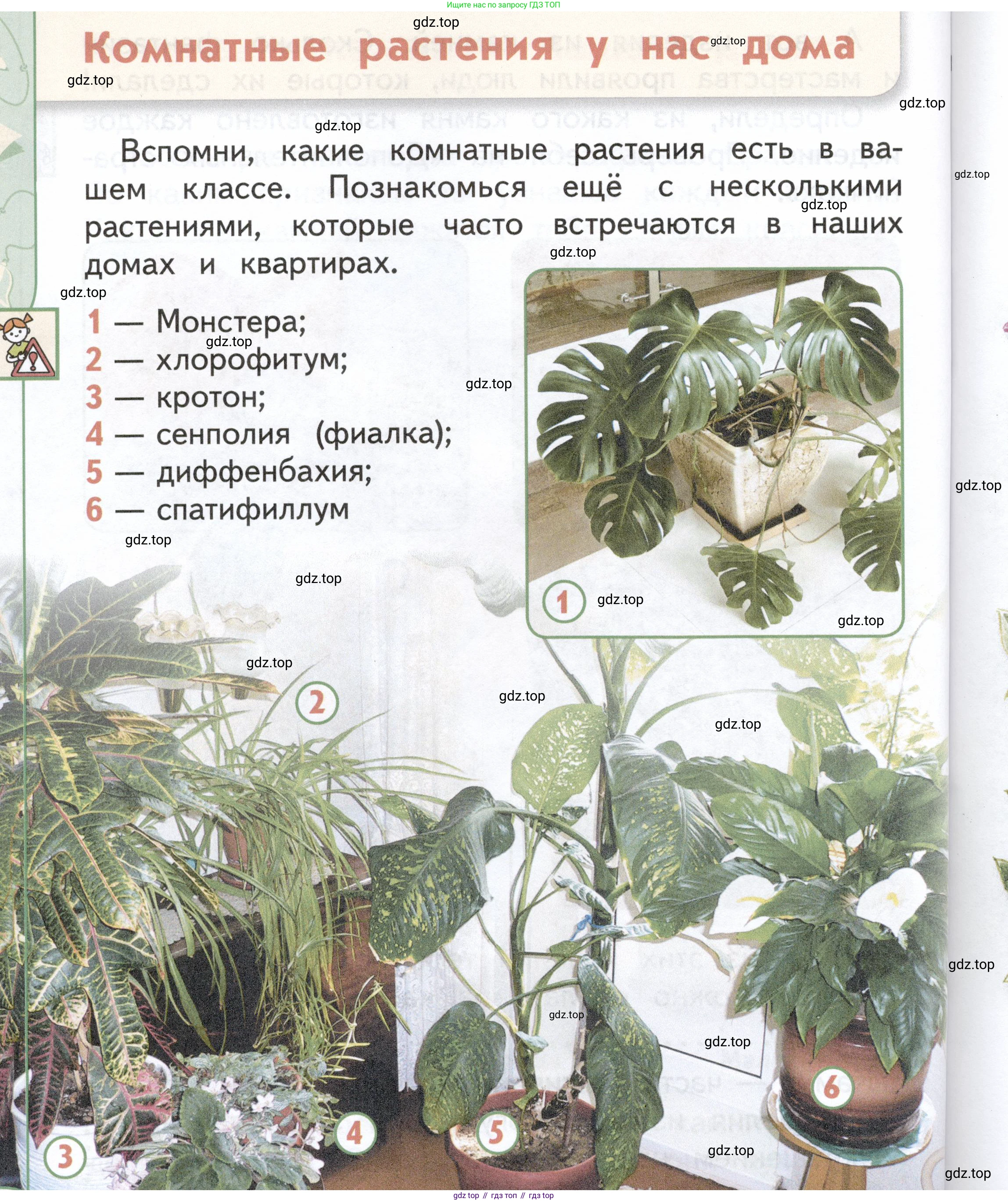 ГДЗ Окружающий мир, 1 класс Учебник, авторы: Плешаков Андрей Анатольевич, Новицкая Марина Юрьевна, издательство Просвещение, Москва, 2023, белого цвета, Часть 1, страница 64, Условие