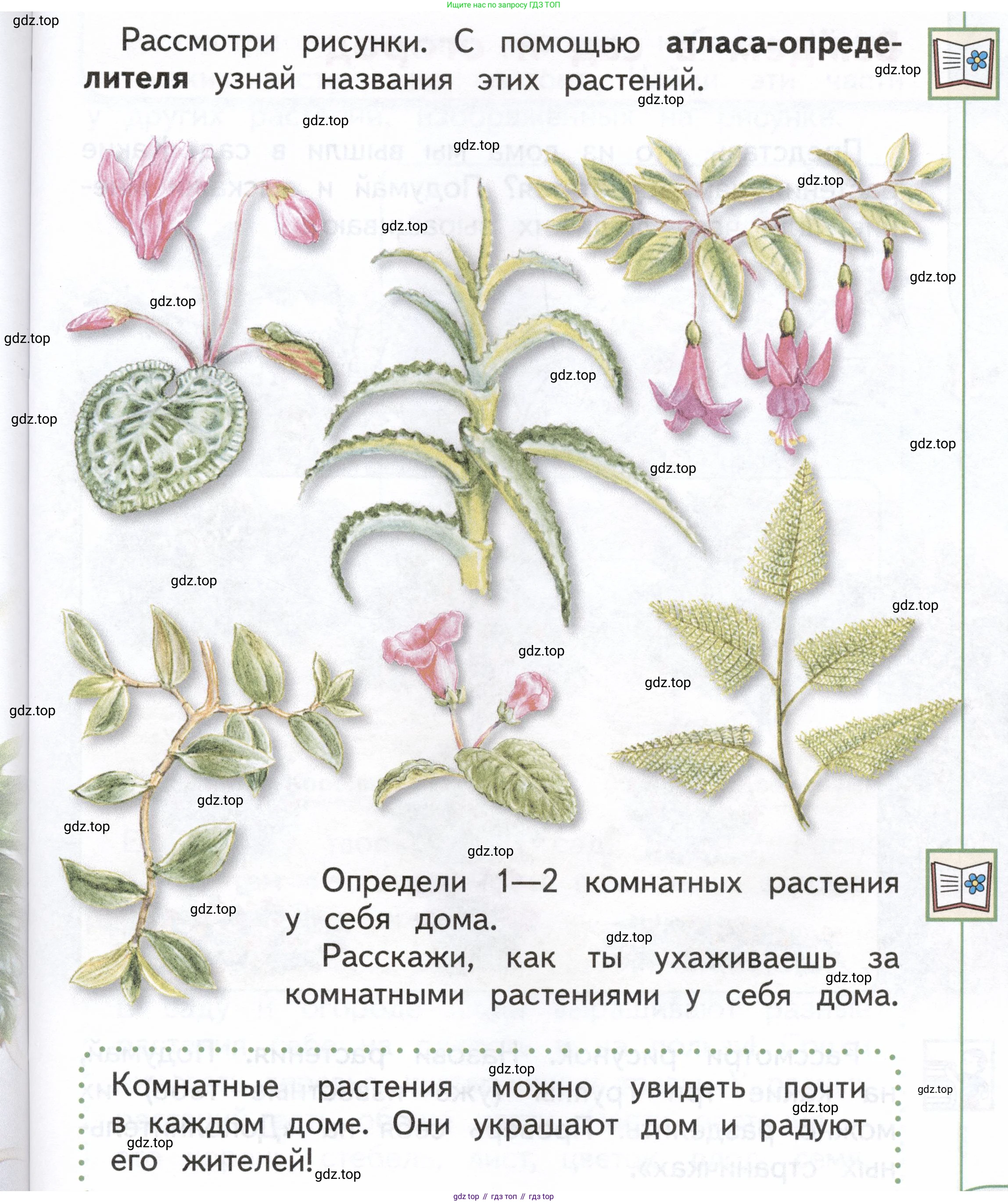ГДЗ Окружающий мир, 1 класс Учебник, авторы: Плешаков Андрей Анатольевич, Новицкая Марина Юрьевна, издательство Просвещение, Москва, 2023, белого цвета, Часть 1, страница 65, Условие