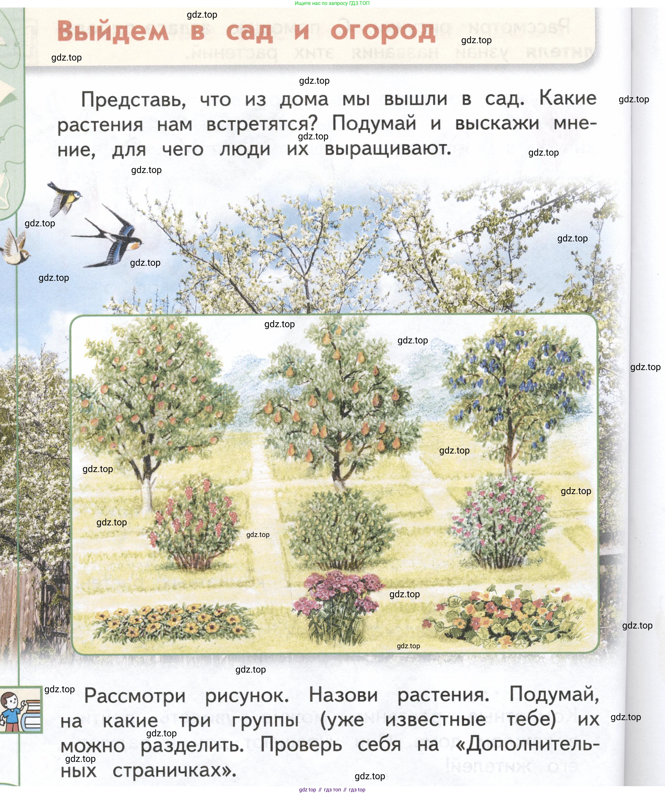 ГДЗ Окружающий мир, 1 класс Учебник, авторы: Плешаков Андрей Анатольевич, Новицкая Марина Юрьевна, издательство Просвещение, Москва, 2023, белого цвета, Часть 1, страница 66, Условие