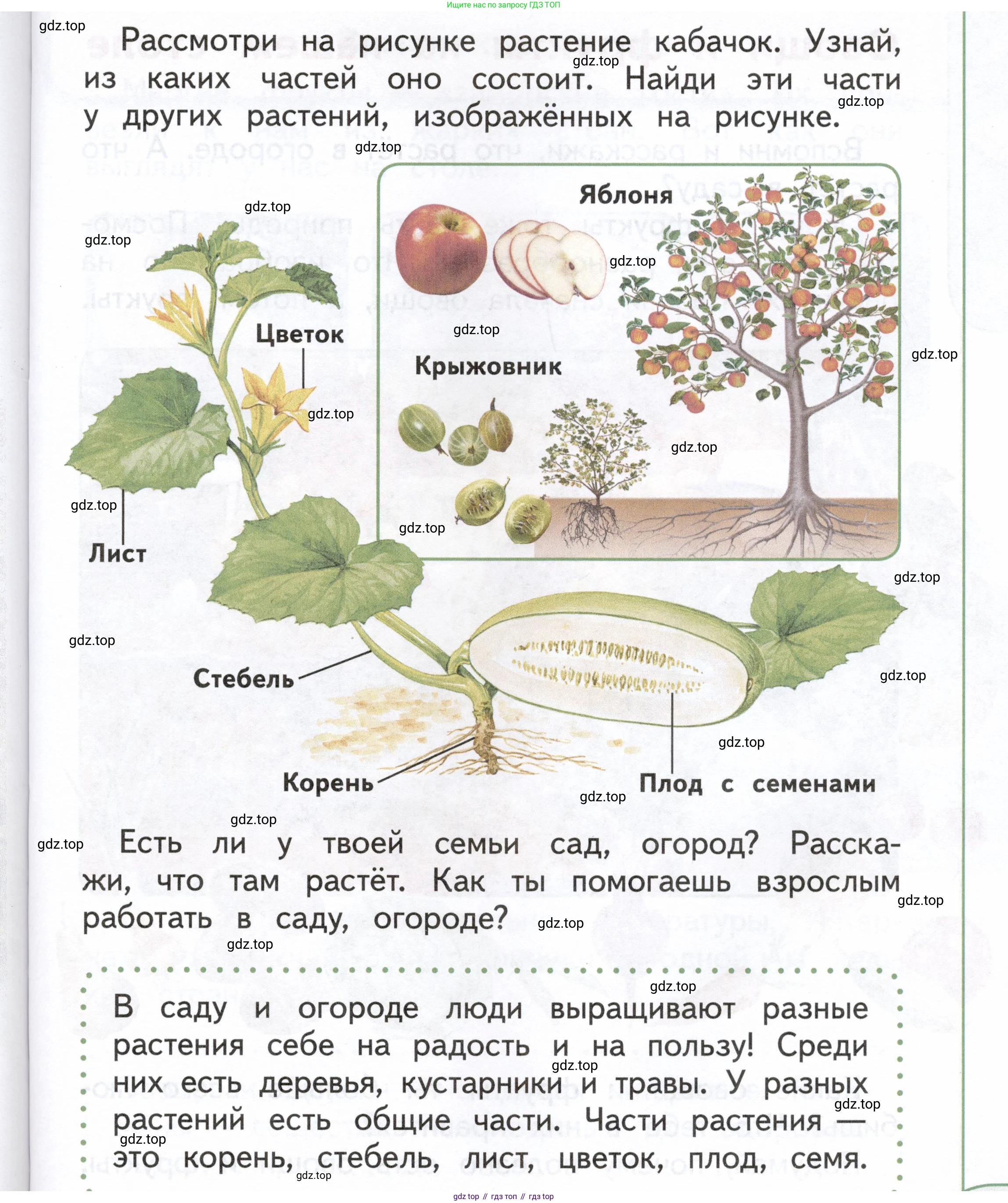 ГДЗ Окружающий мир, 1 класс Учебник, авторы: Плешаков Андрей Анатольевич, Новицкая Марина Юрьевна, издательство Просвещение, Москва, 2023, белого цвета, Часть 1, страница 67, Условие