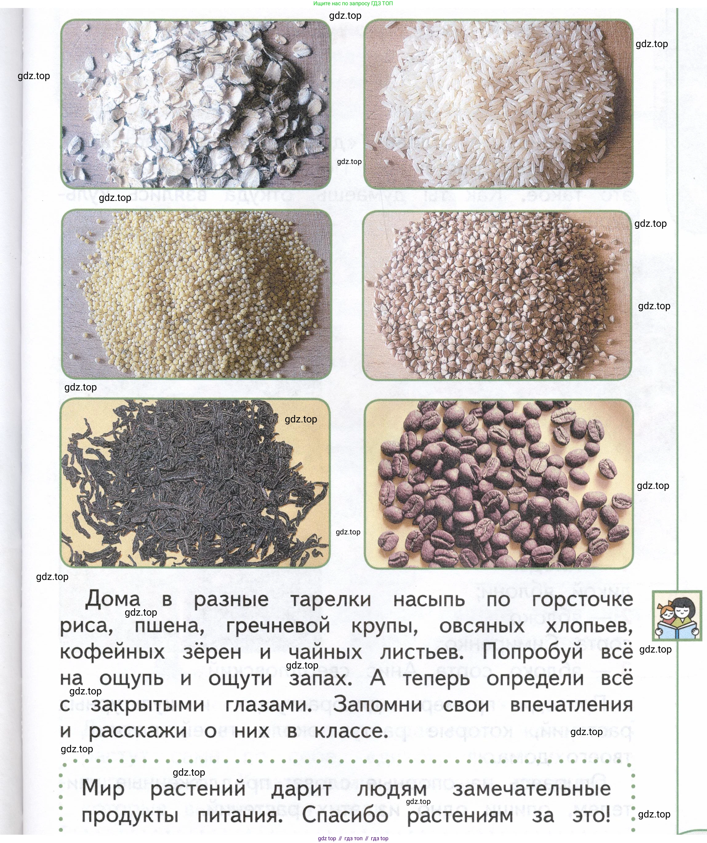 ГДЗ Окружающий мир, 1 класс Учебник, авторы: Плешаков Андрей Анатольевич, Новицкая Марина Юрьевна, издательство Просвещение, Москва, 2023, белого цвета, Часть 1, страница 73, Условие
