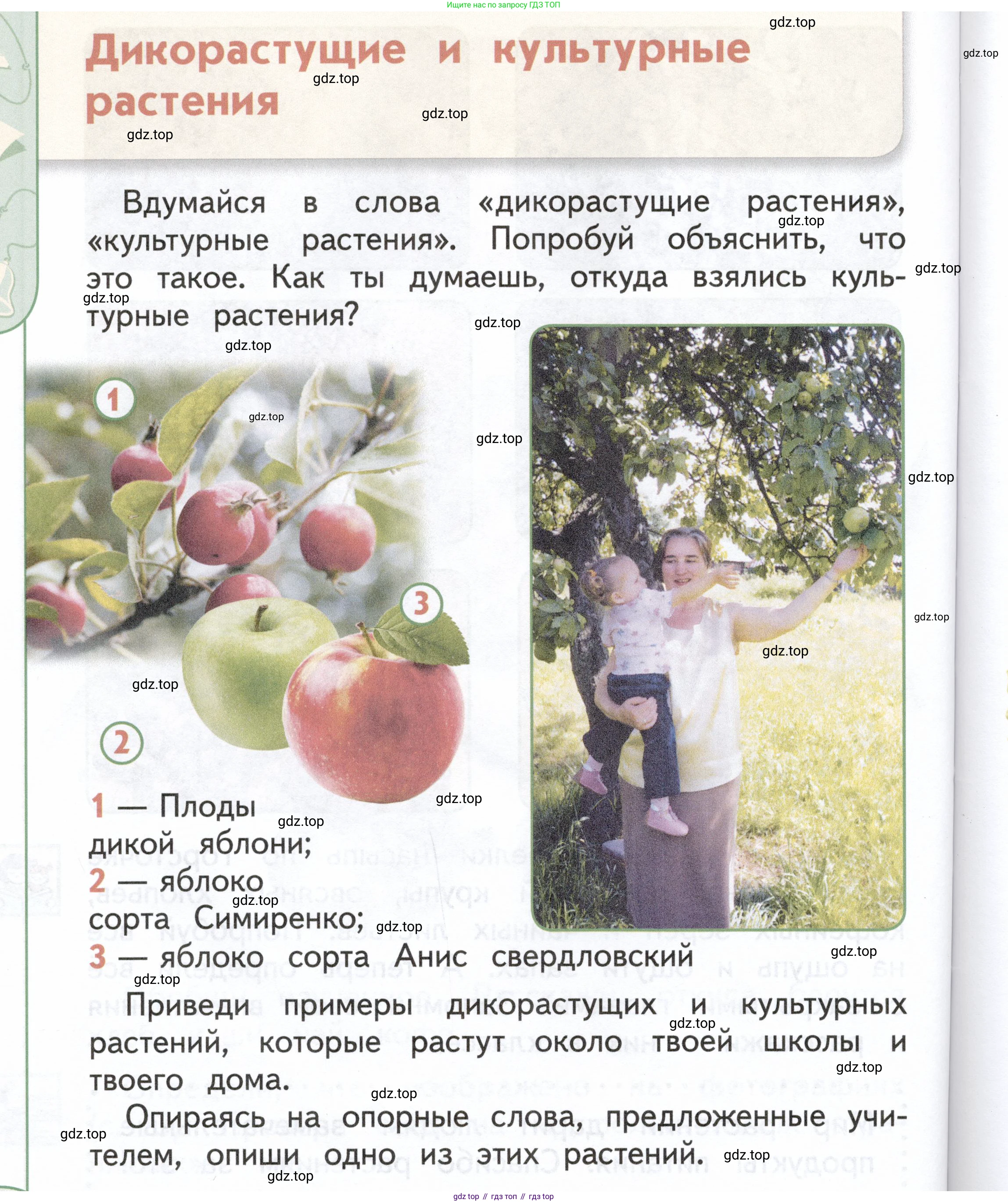 ГДЗ Окружающий мир, 1 класс Учебник, авторы: Плешаков Андрей Анатольевич, Новицкая Марина Юрьевна, издательство Просвещение, Москва, 2023, белого цвета, Часть 1, страница 74, Условие