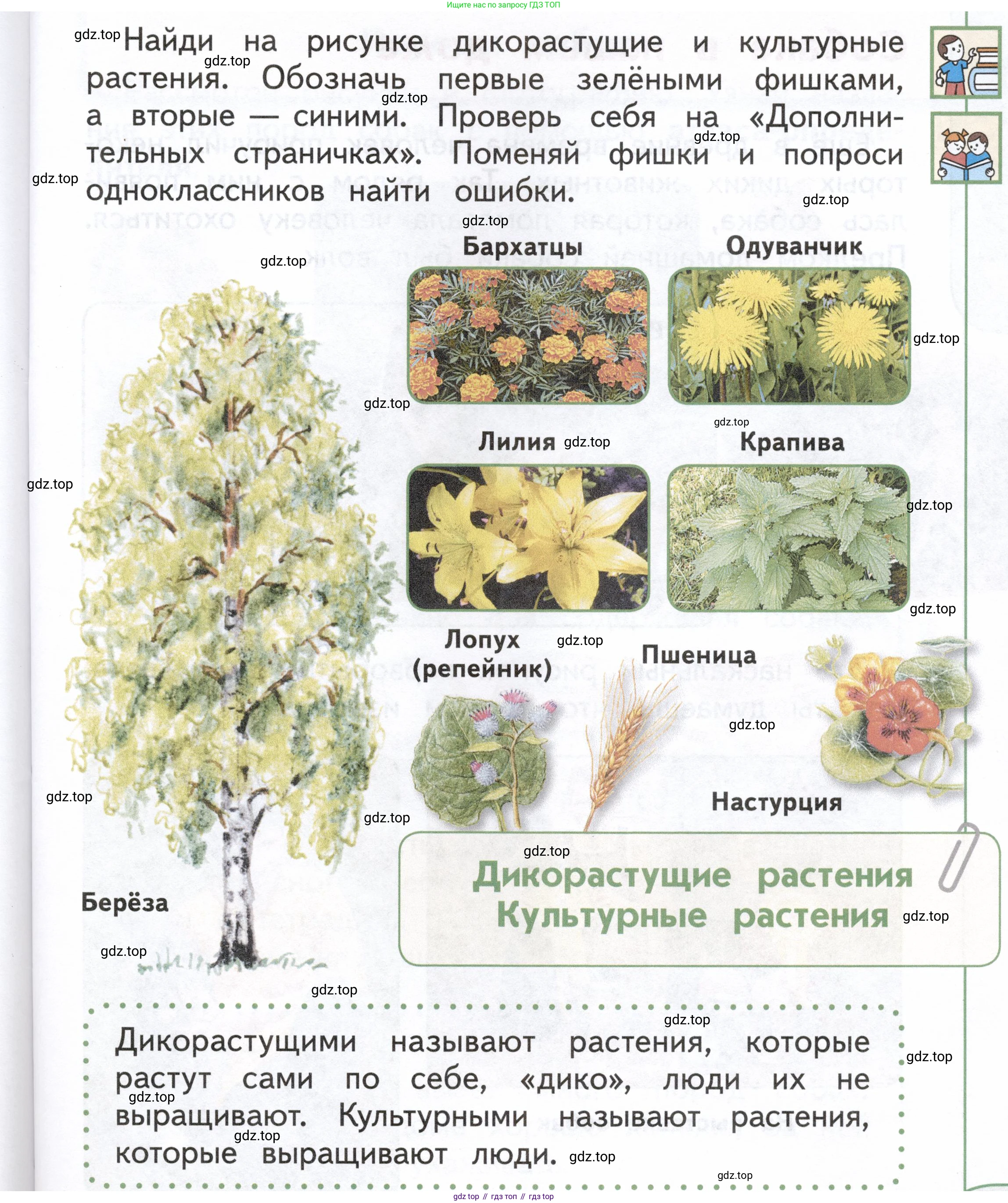 ГДЗ Окружающий мир, 1 класс Учебник, авторы: Плешаков Андрей Анатольевич, Новицкая Марина Юрьевна, издательство Просвещение, Москва, 2023, белого цвета, Часть 1, страница 75, Условие
