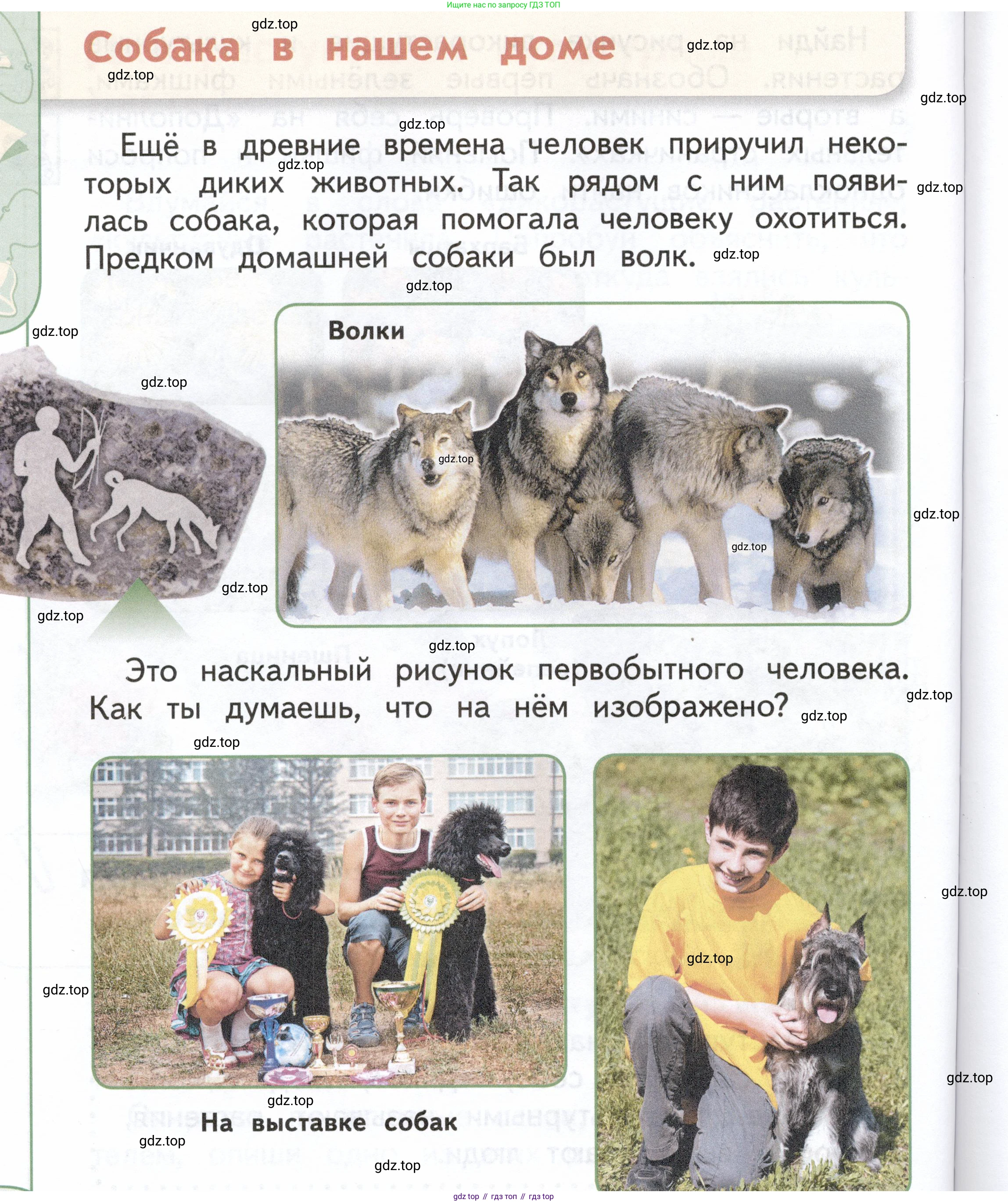 ГДЗ Окружающий мир, 1 класс Учебник, авторы: Плешаков Андрей Анатольевич, Новицкая Марина Юрьевна, издательство Просвещение, Москва, 2023, белого цвета, Часть 1, страница 76, Условие
